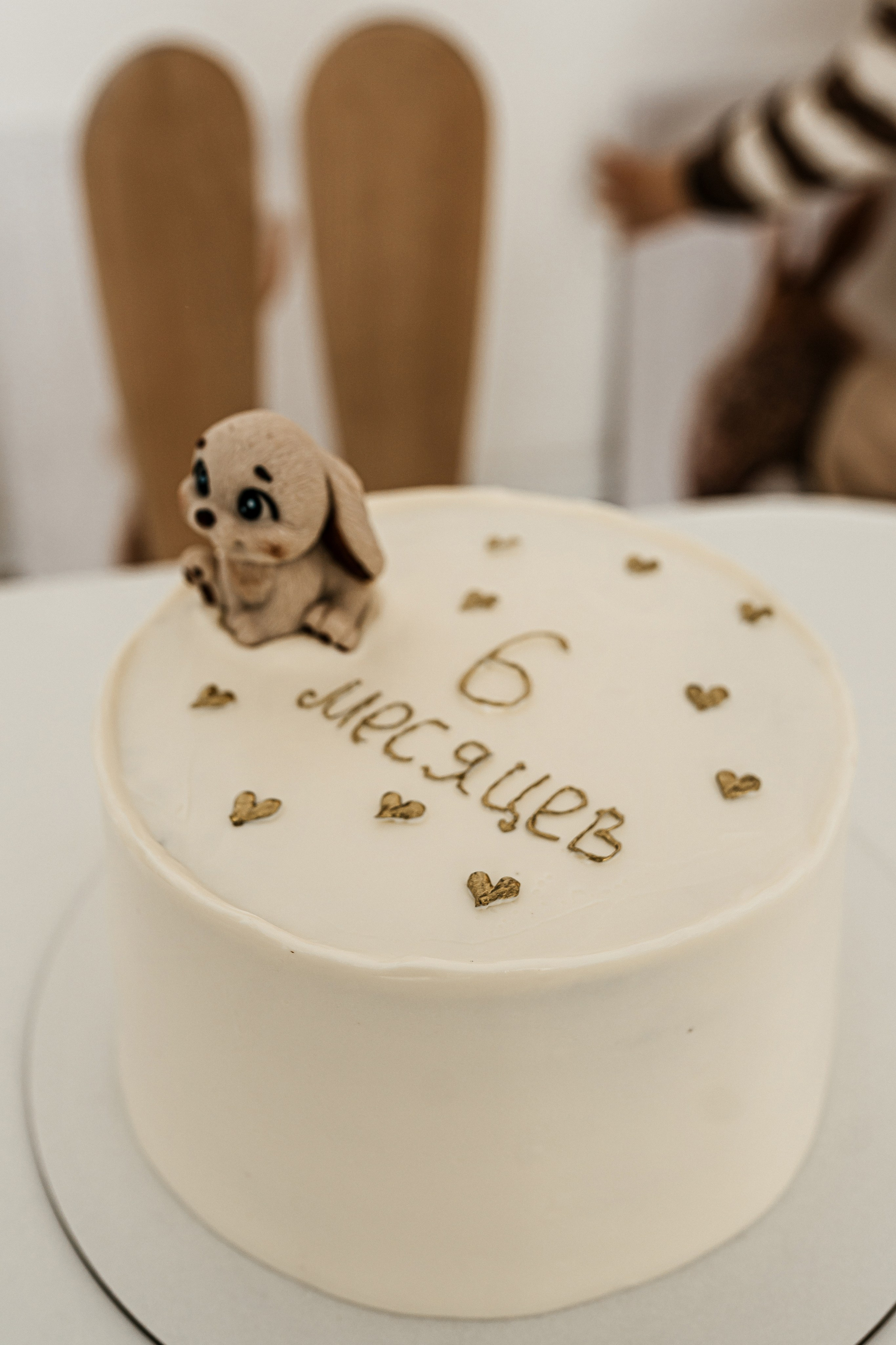 Светлана, Данил, Арсений и Савелий. Фотограф Ким Наталья в Красноярске