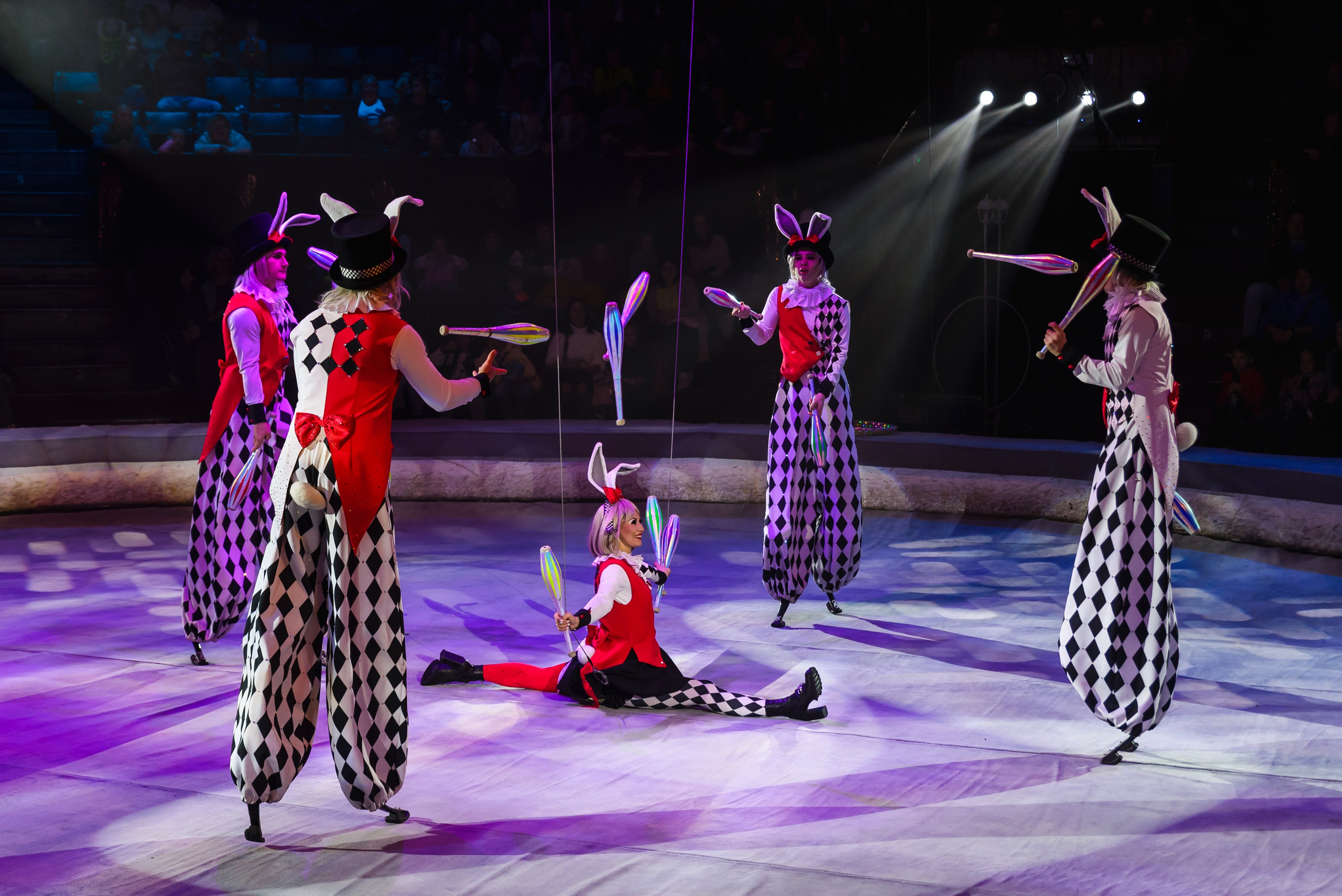 Пермский государственный цирк. Фотограф в Ханты-Мансийске Евгений Жуланов