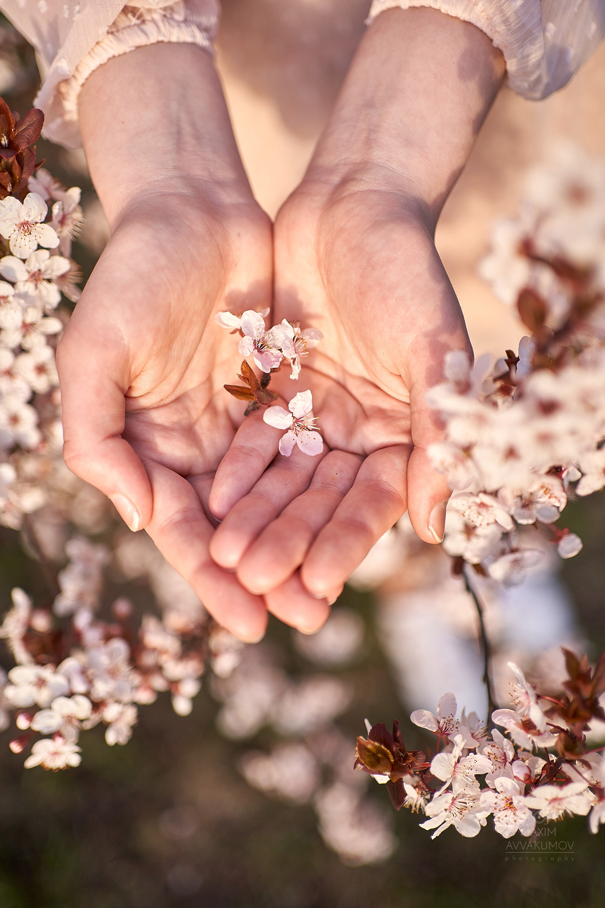Лера, Апрель. Портретный и свадебный фотограф в Крыму Аввакумов Максим