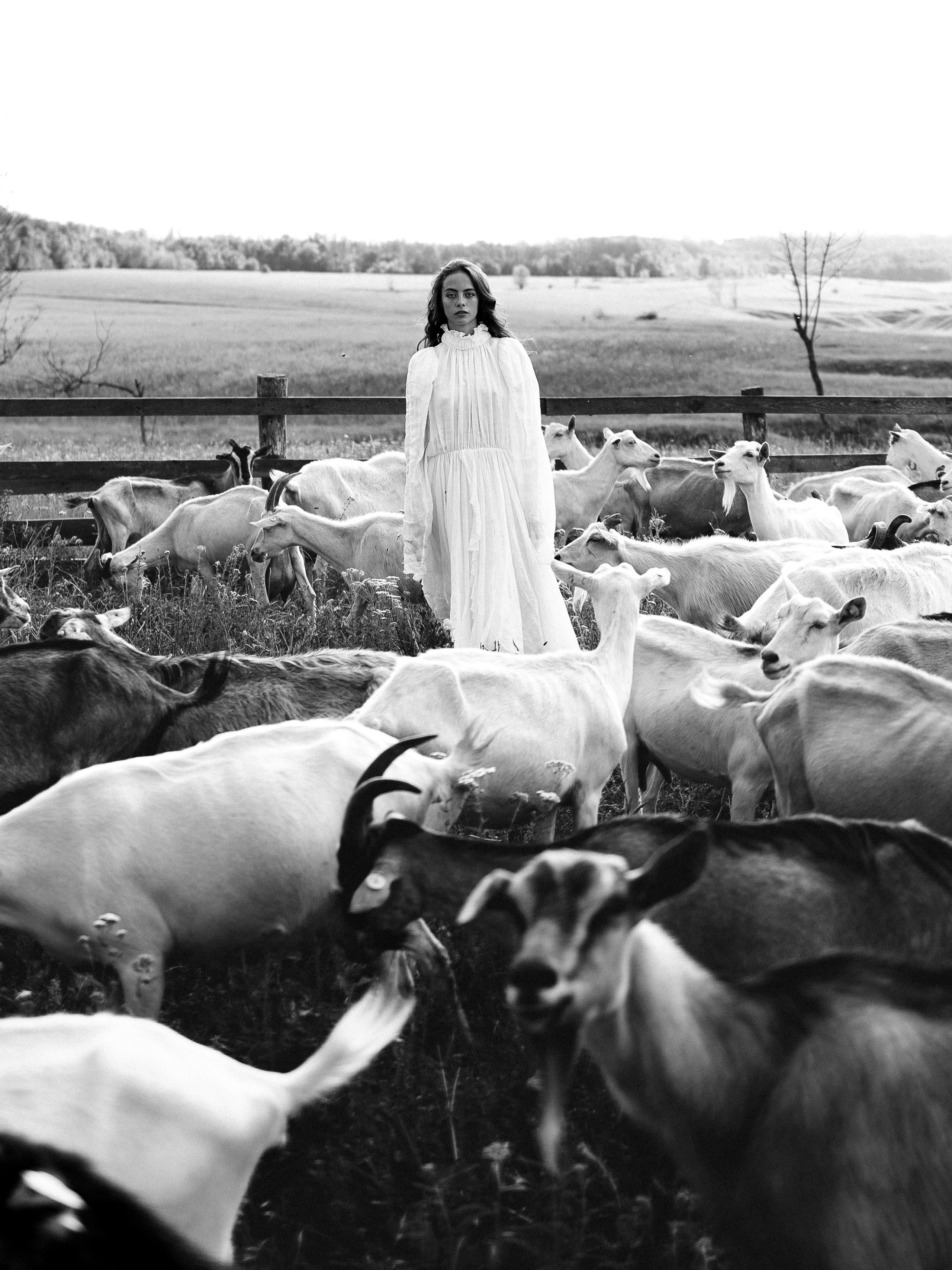 Freedom. Фотограф Шалаева Александра