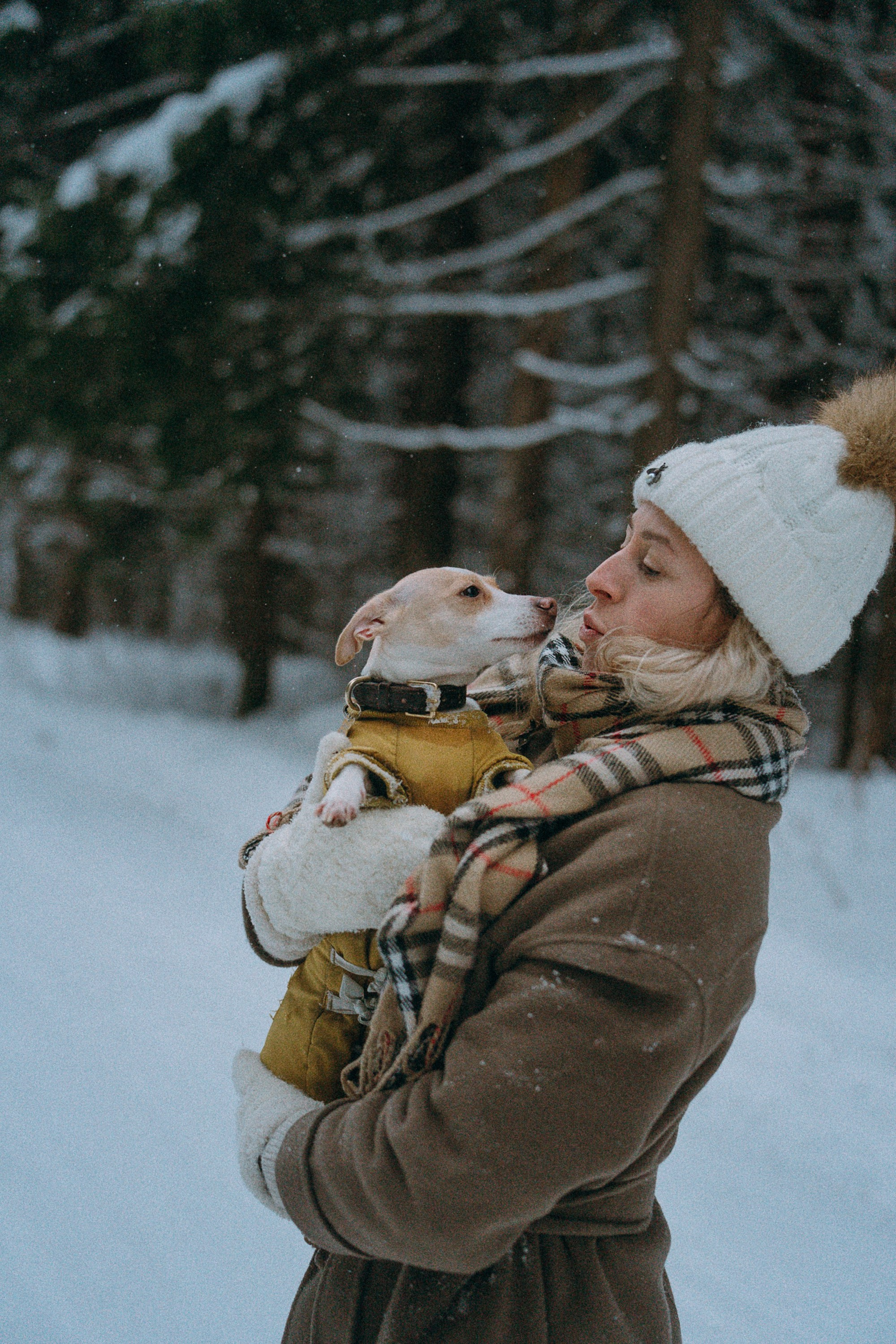 Алина, Ваниль и Элис. Фотограф анималист в Москве и Санкт-Петербурге Свиридова Анна