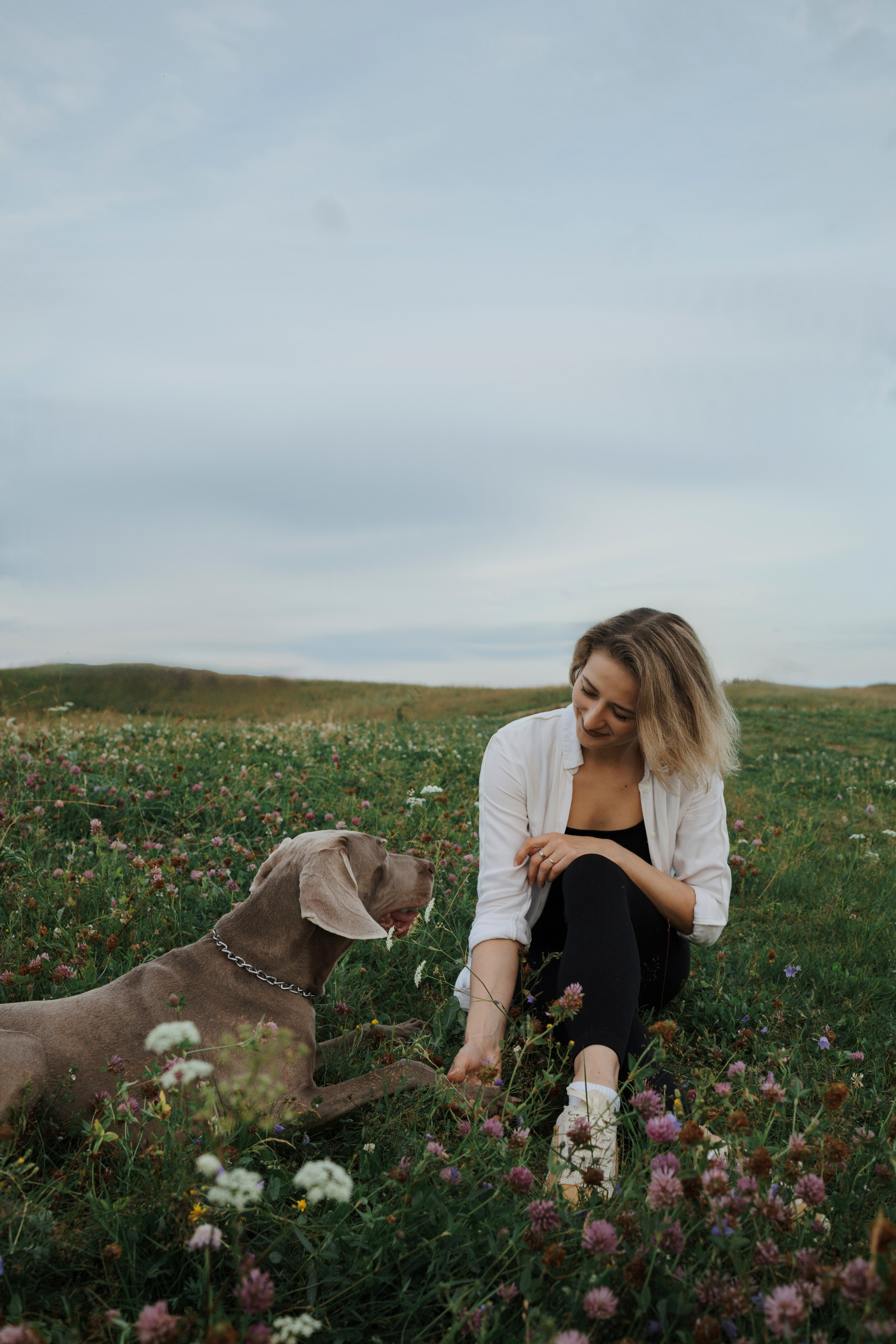 Маргарита и веймаранеры. Фотограф-анималист в Санкт-Петеребурге Титова Алиса