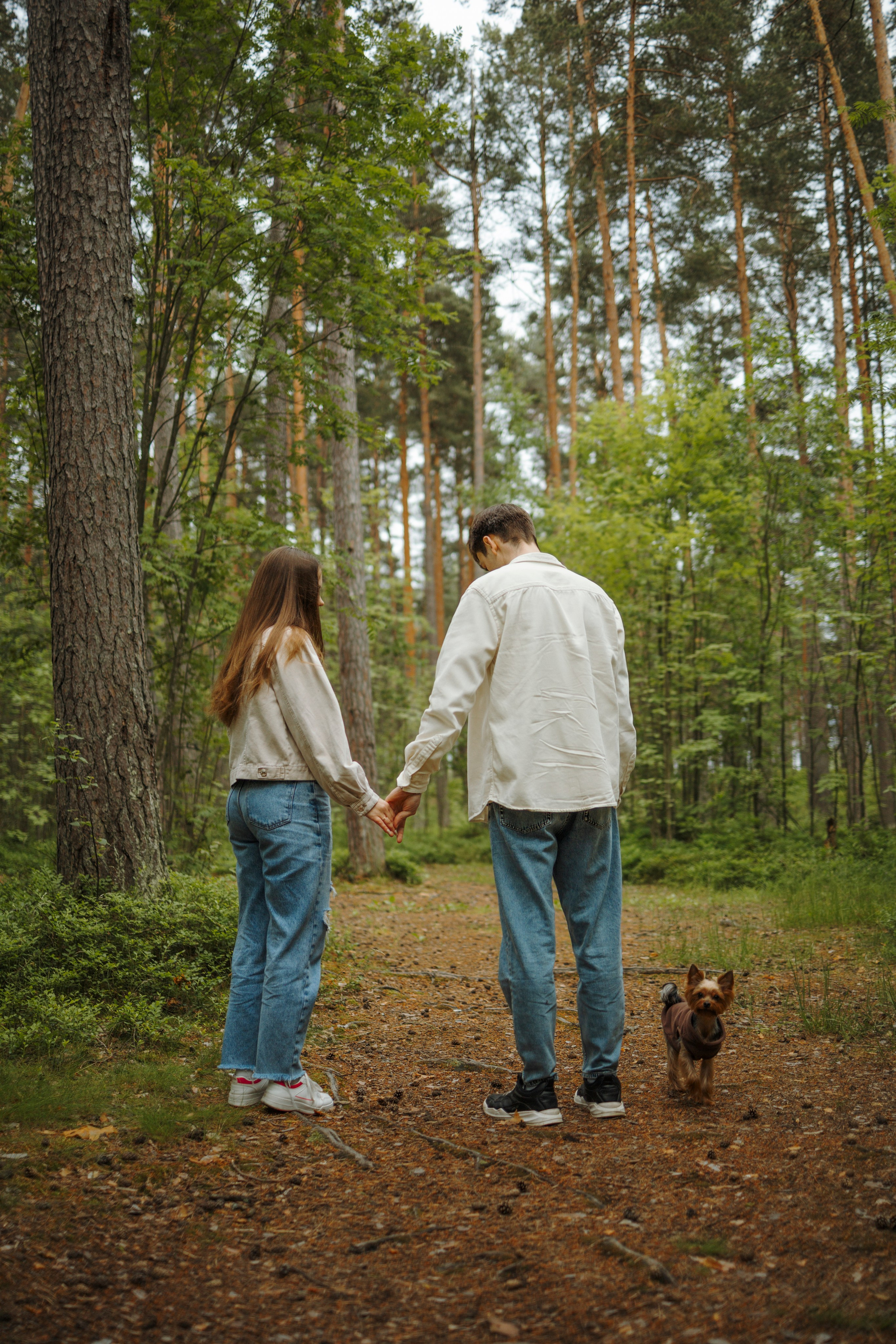 День из жизни Чуи и его семьи. Фотограф-анималист в Санкт-Петеребурге Титова Алиса
