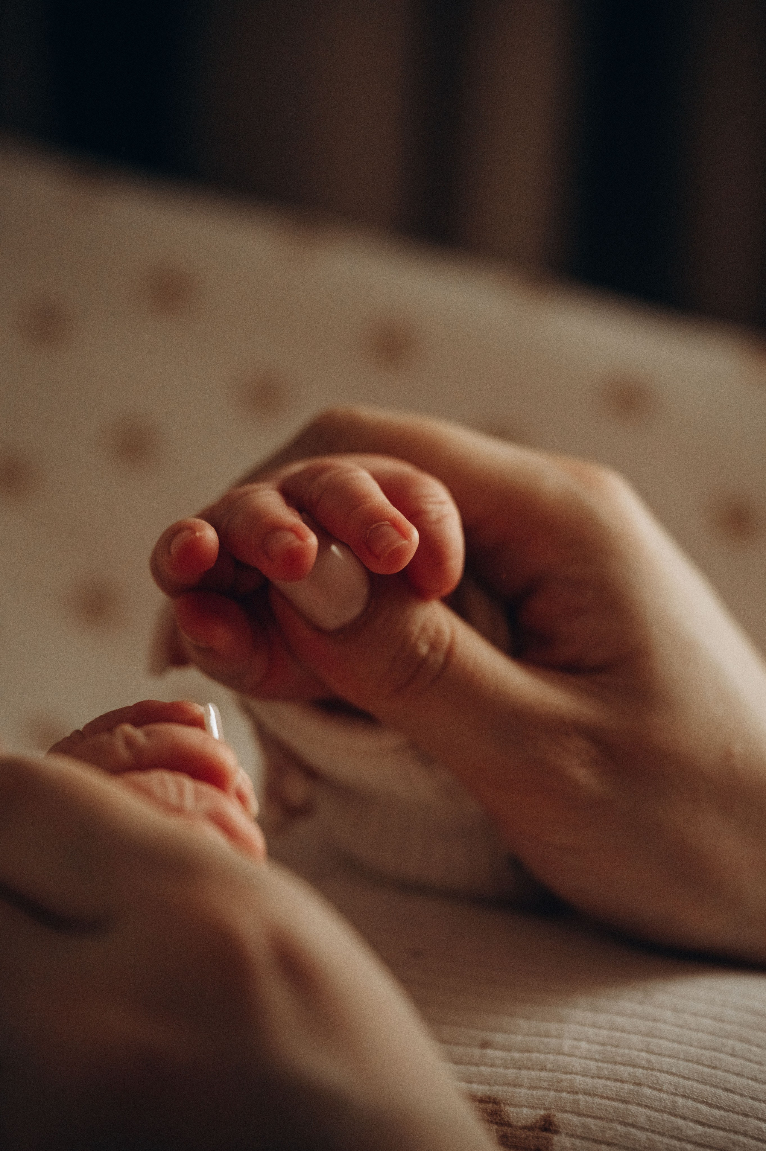 Иван, Ксения и Лев. Фотограф беременности и семьи, домашние съемки, Ньюборн