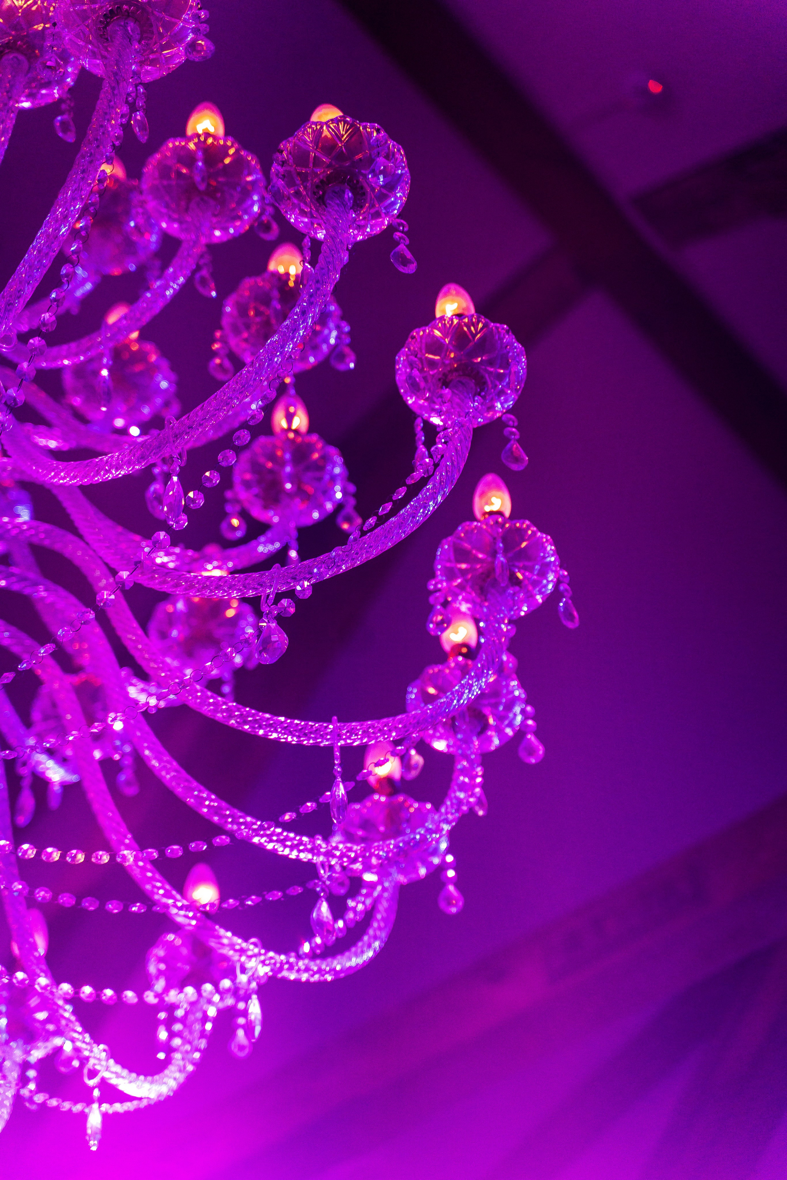 Презентация приложения Twingle. Фотограф — Матвеев Роман