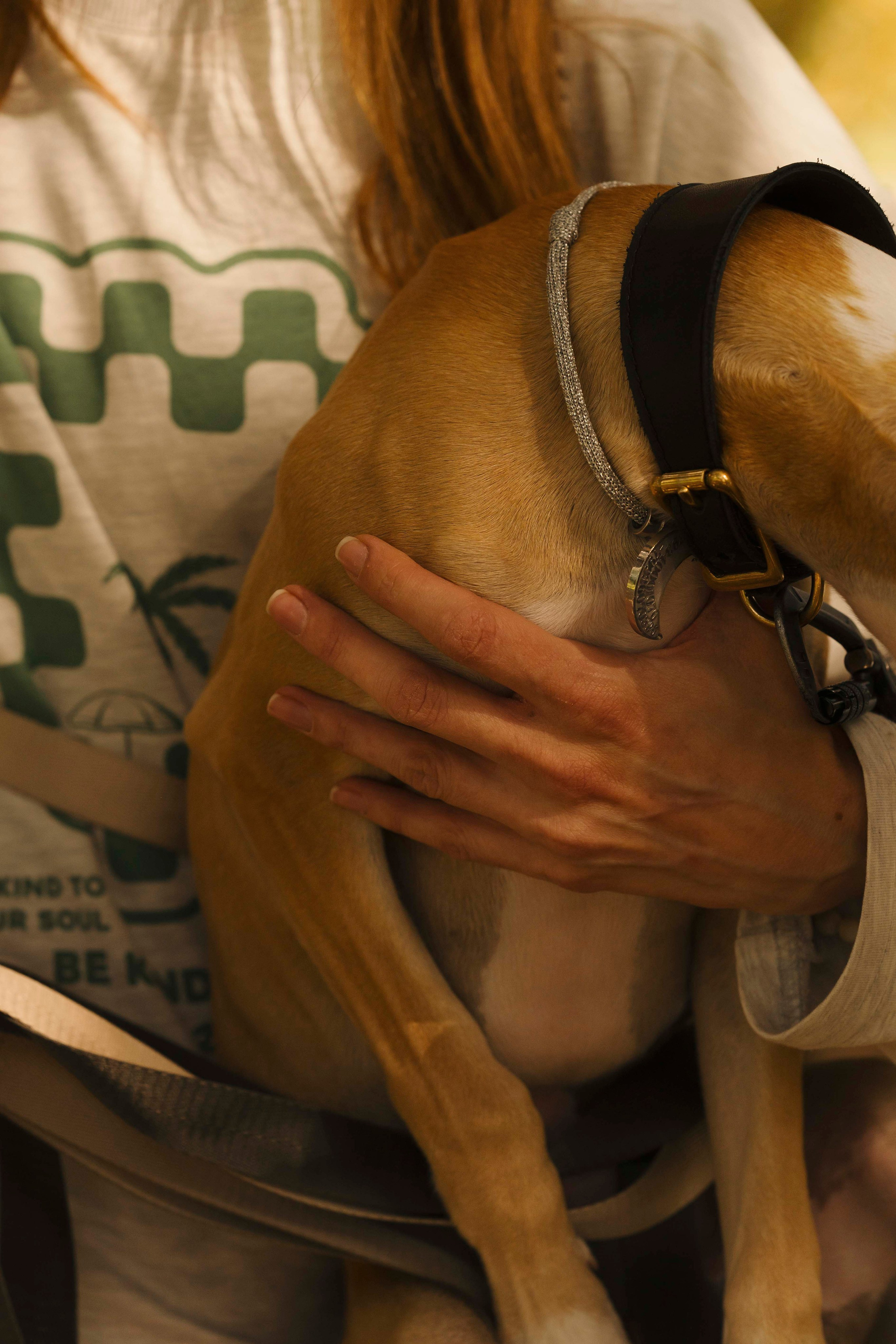 Нева и Персей. Фотограф- анималист Александра Матвеева