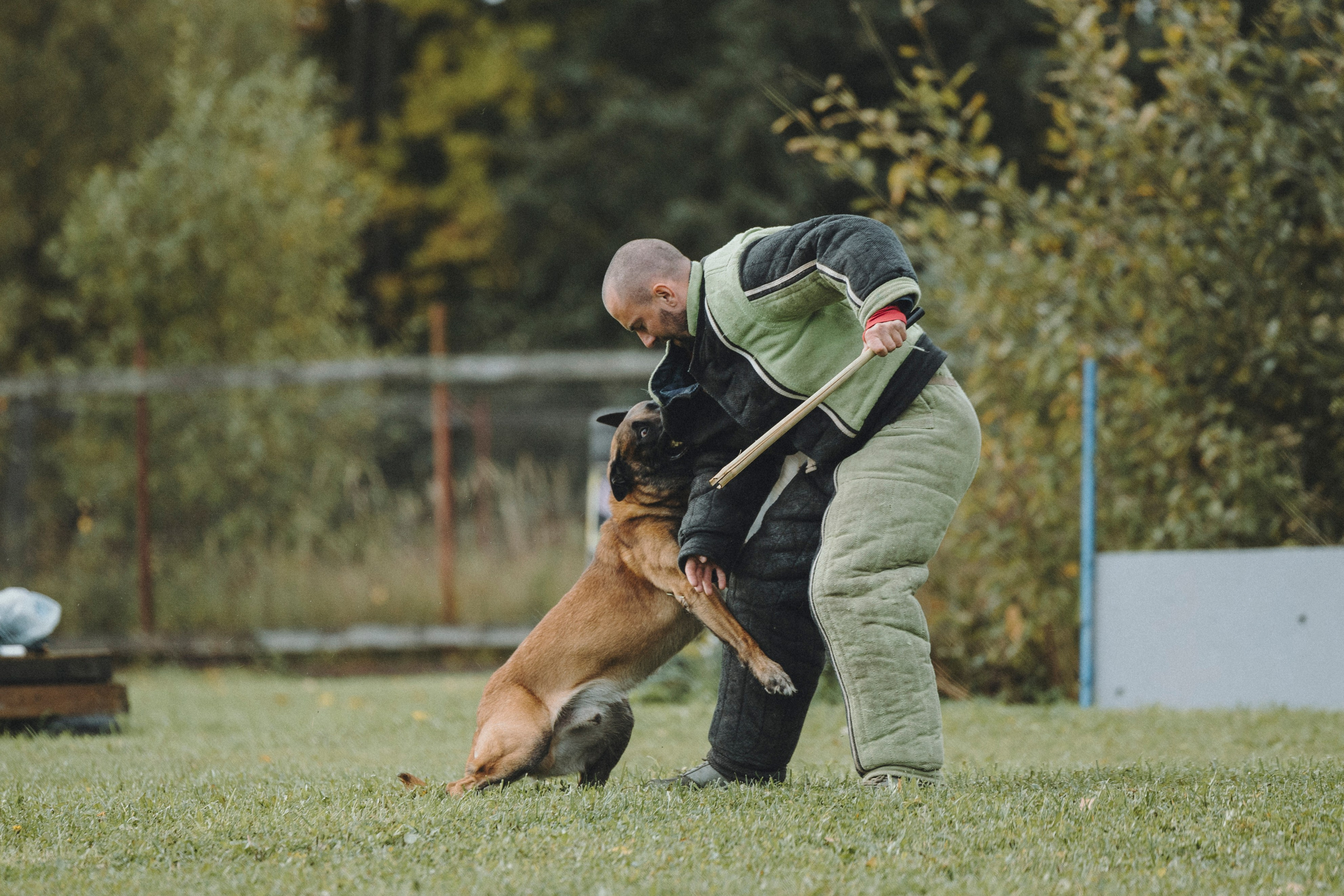 Испытания по мондьорингу г. Пушкин 29.09.2024. Фотограф-анималист Анна Маринич