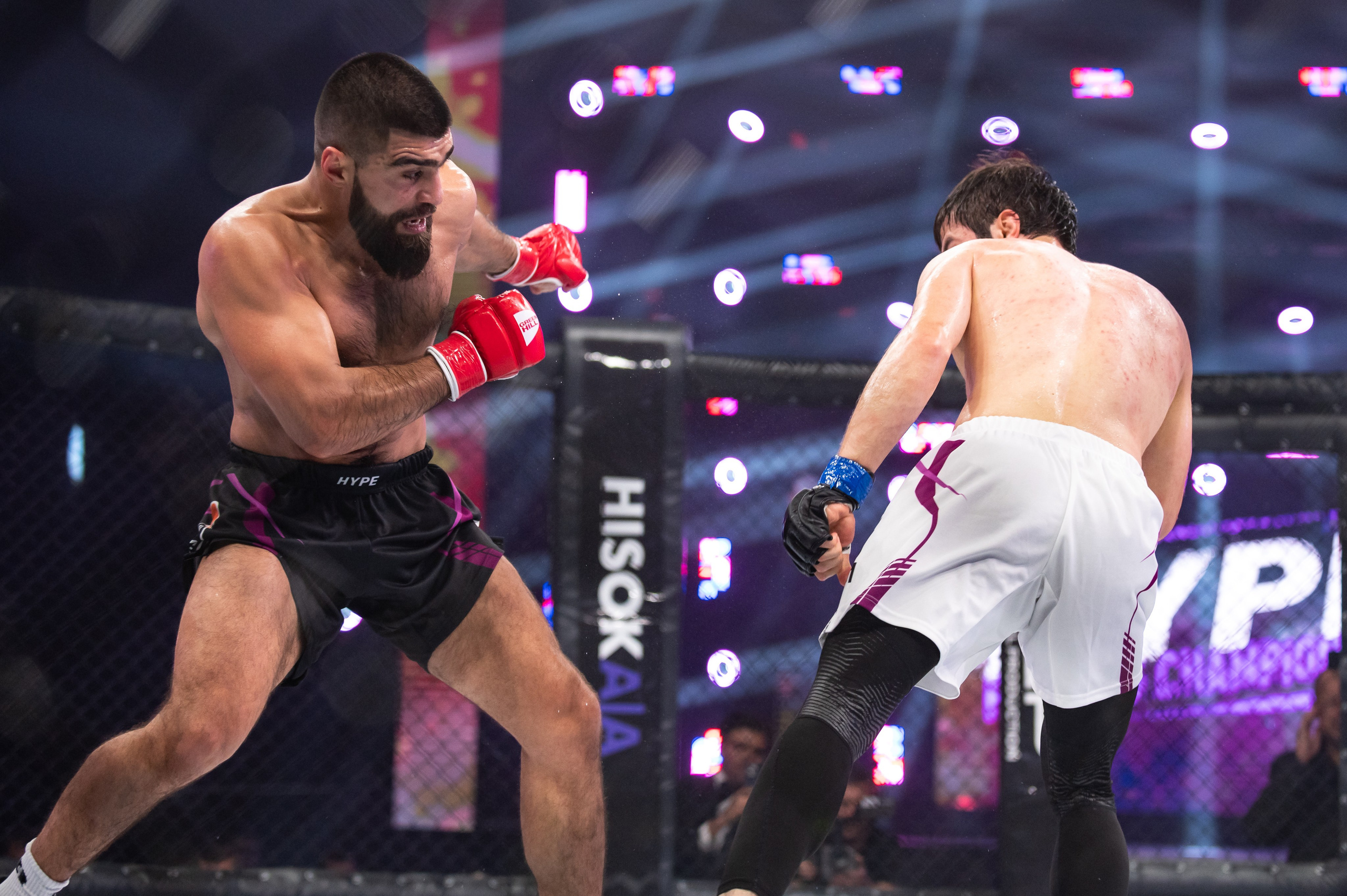 Бои. Репортажный фотограф в Красной Поляне и Сочи Павлюченко Екатерина