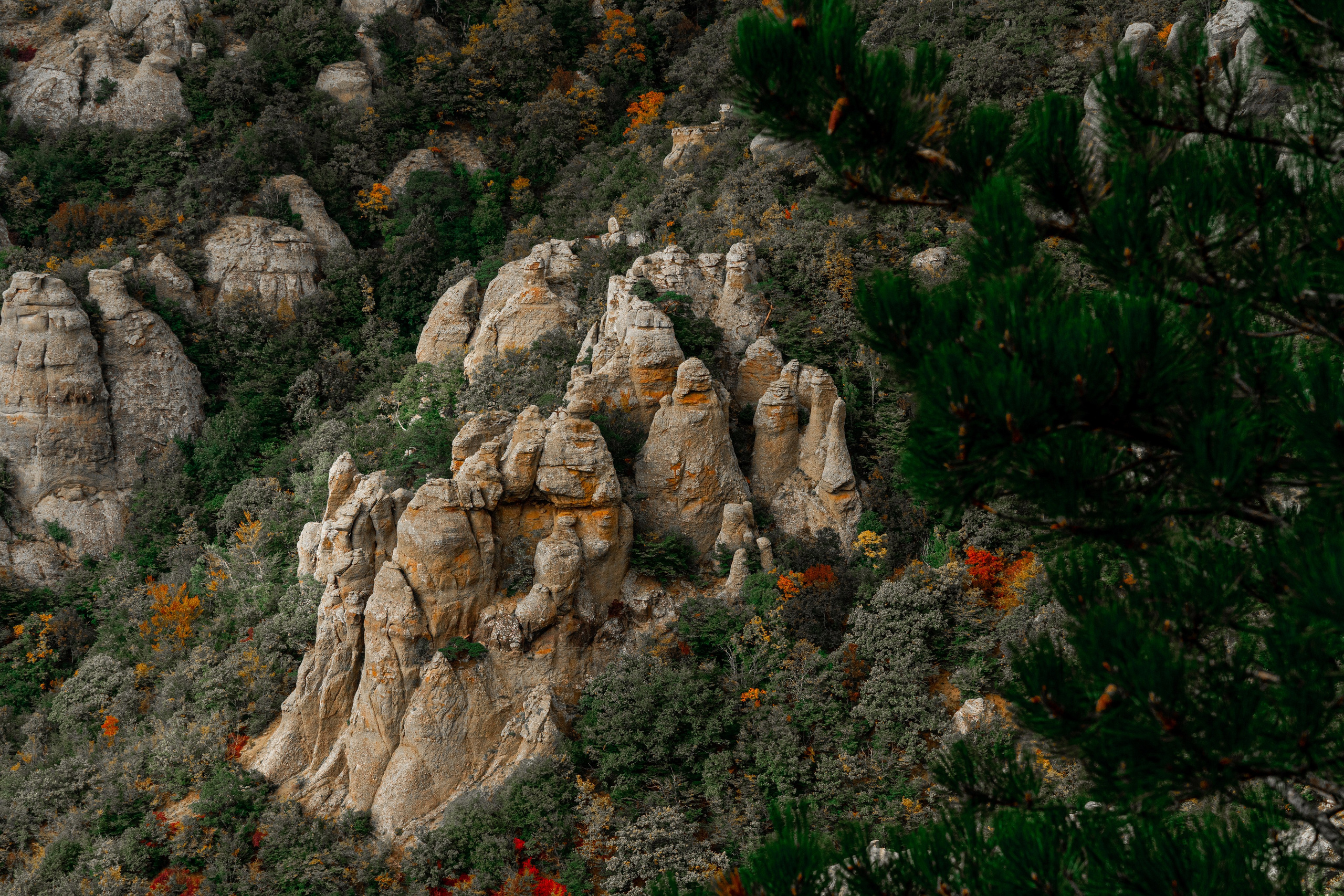 Путешествия и пейзаж. Репортажный фотограф в Красной Поляне и Сочи Павлюченко Екатерина