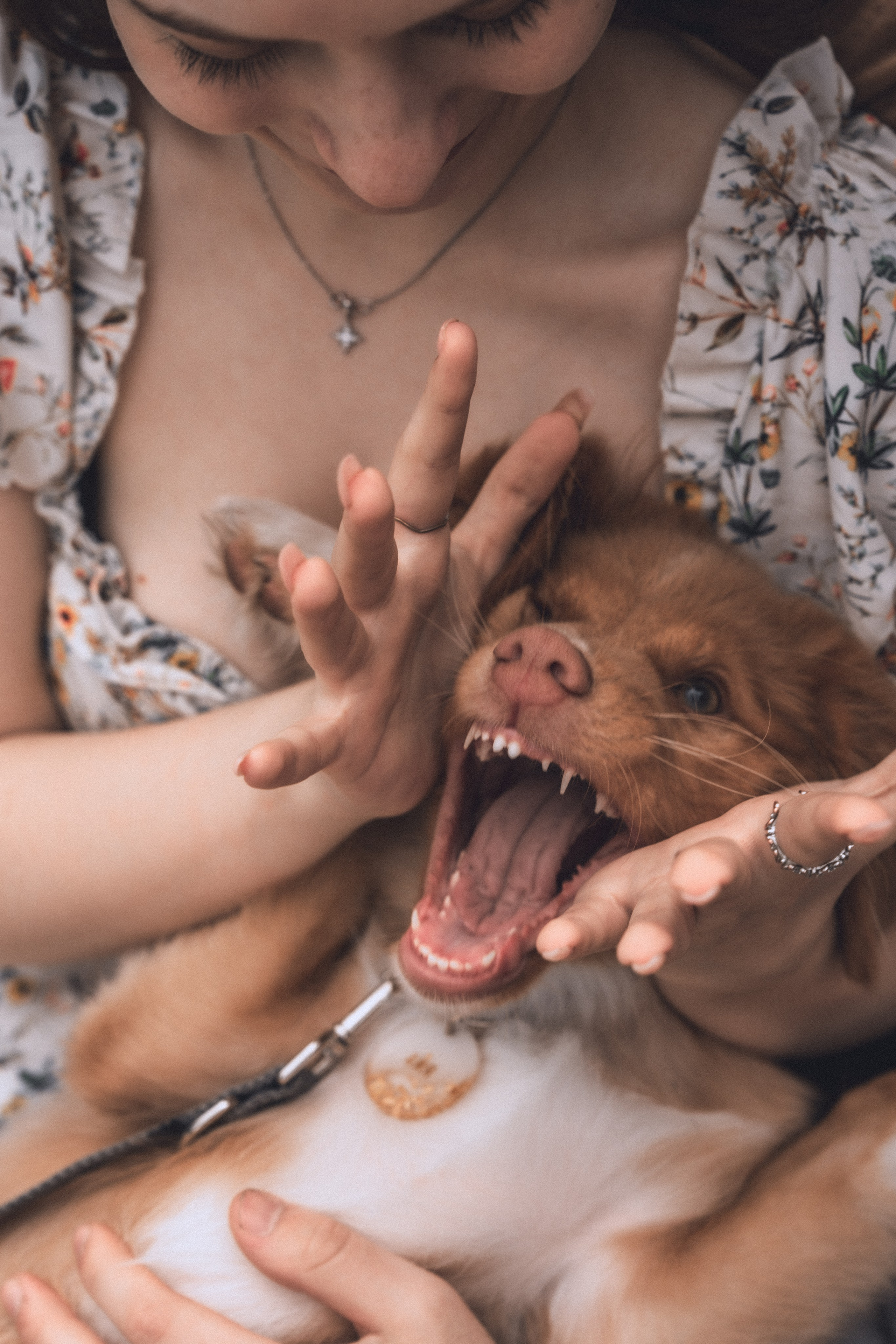 В ♡ А ✧ Айя — Любовь с рыжим хвостиком. Свадебный и портретный фотограф в Москве, Светлана Янковая