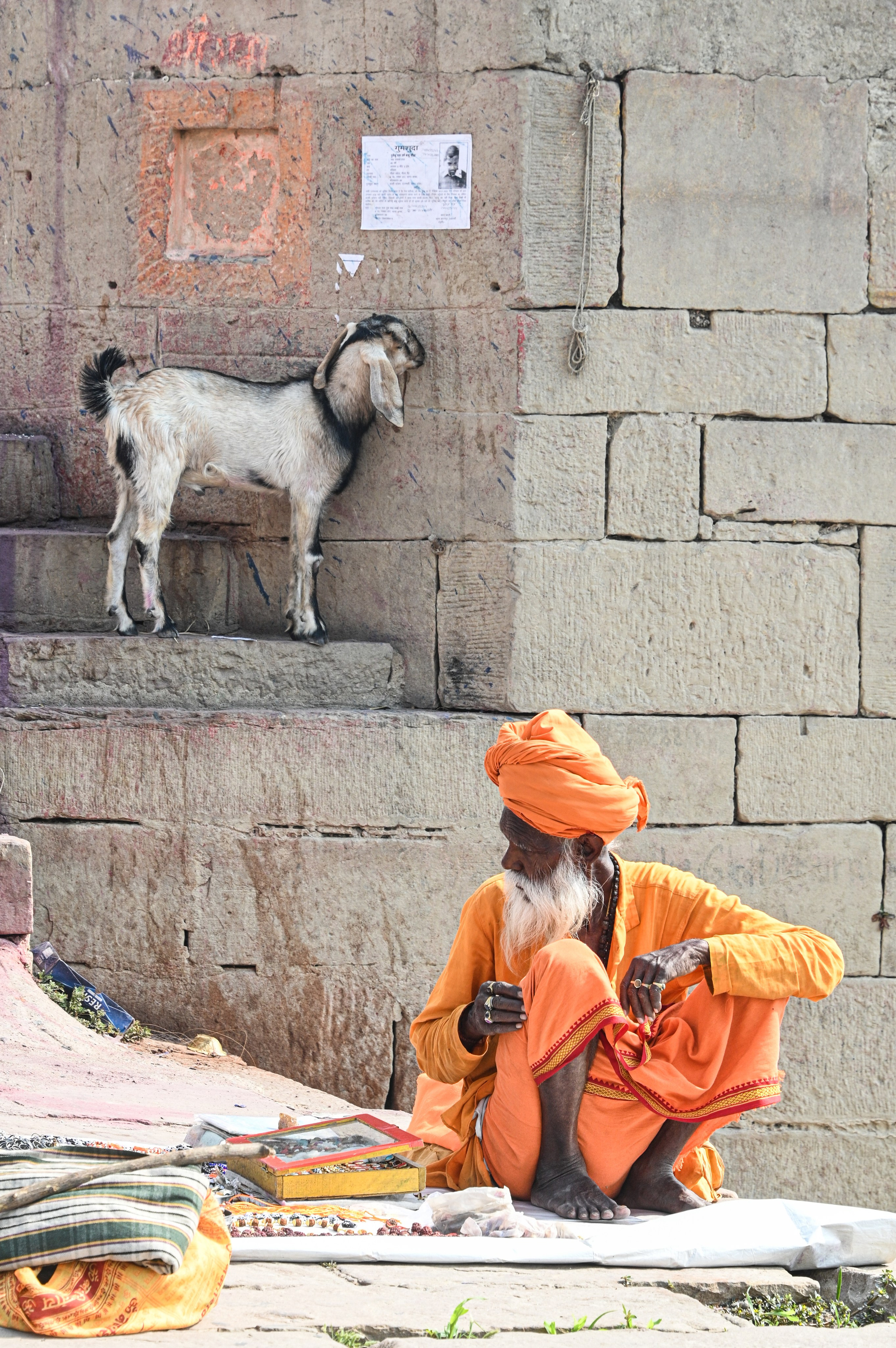 Невероятная Индия. Игорь Иванко — Репортажный и событийный фотограф. Москва