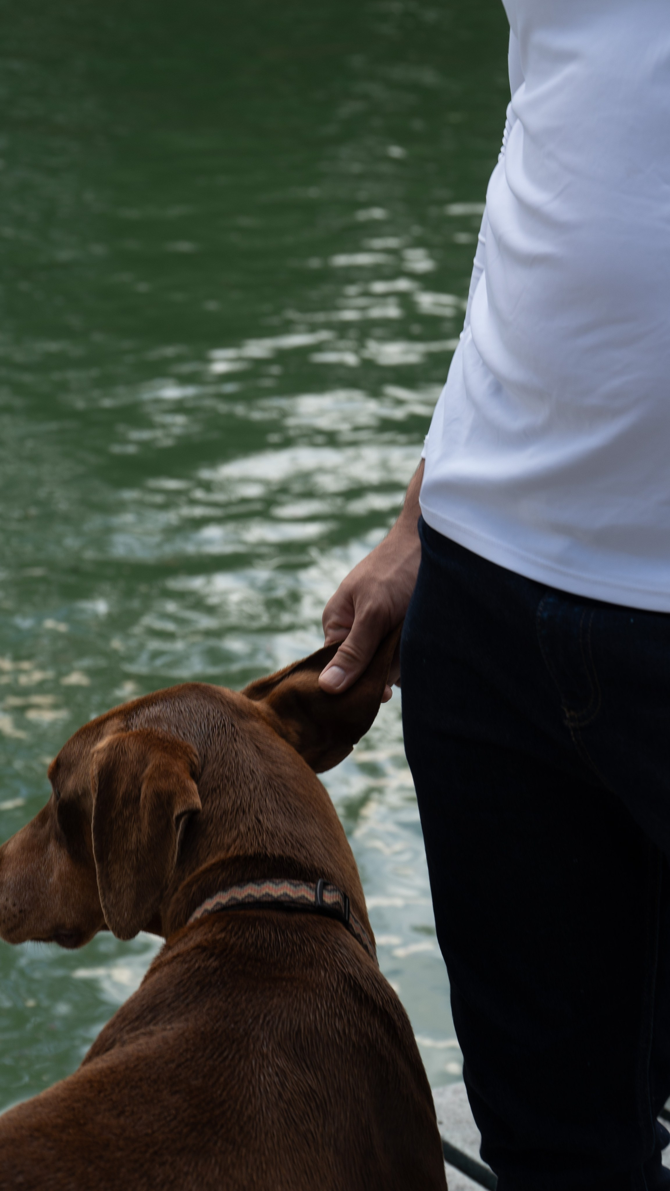 Guatape full. Wedding Photographer in Barcelona and Medellin