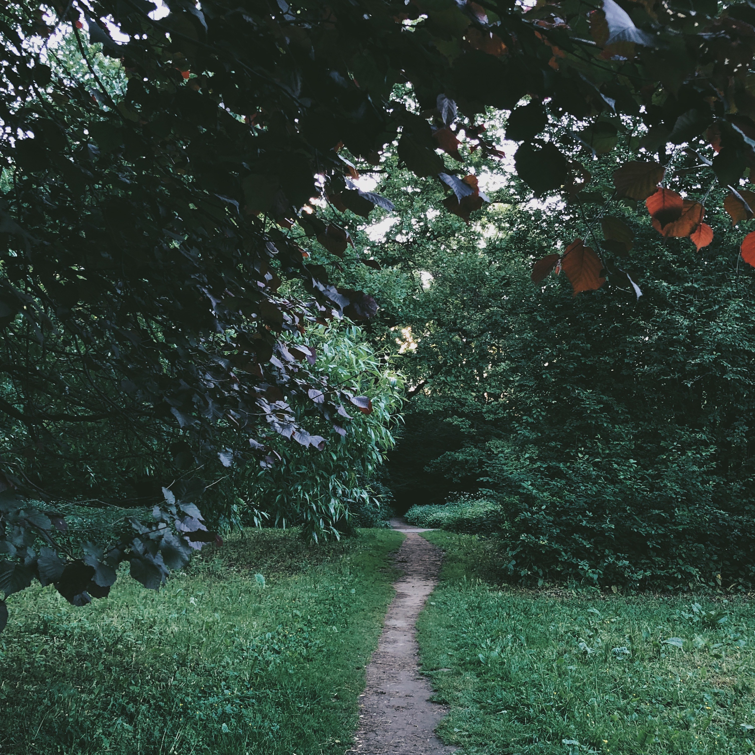 Визуальный дневник. Портретный фотограф в Москве Гахраманова Екатерина