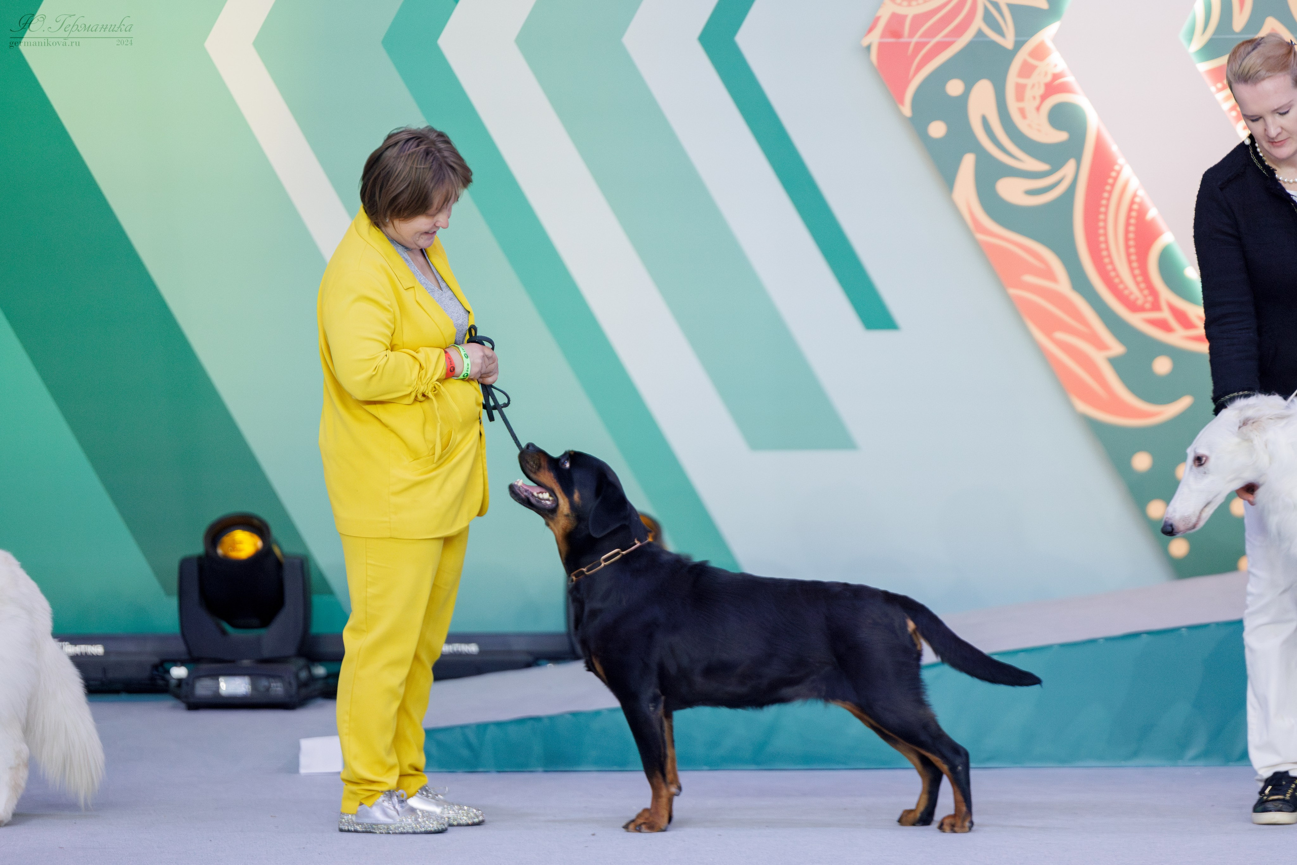 Евразия 16-17.11.2024. Фотограф-анималист Юлия Германика