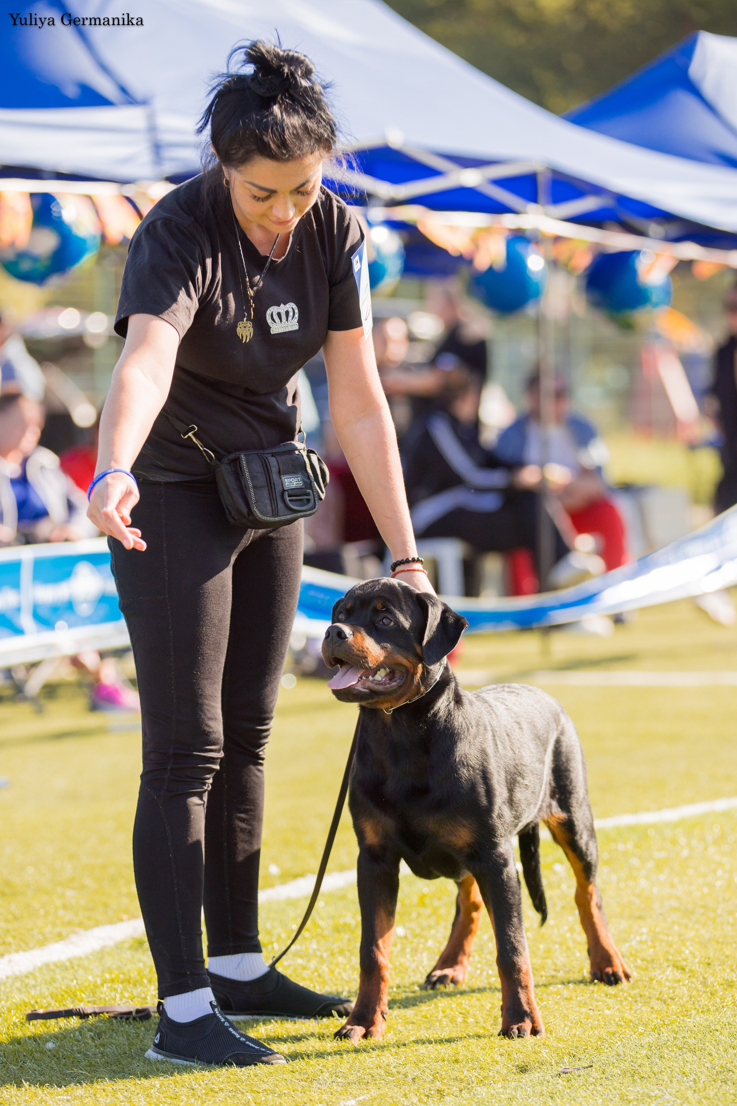 Анапа 16-17.09.2023 моно ротвейлеров. Фотограф-анималист Юлия Германика