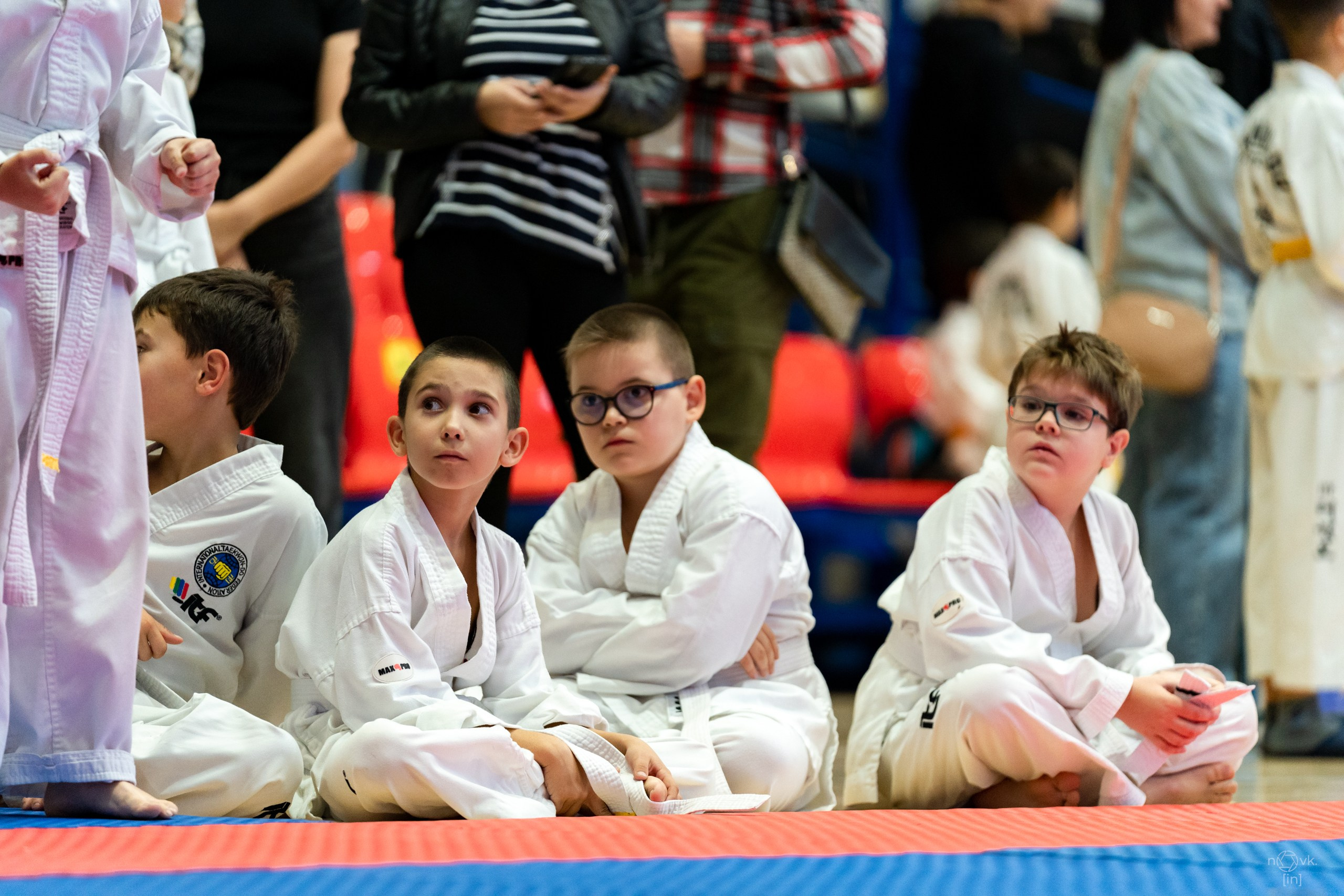 Тхэквондо. ФОТОГРАФ ИВАН НОВИКОВ | СТАВРОПОЛЬ