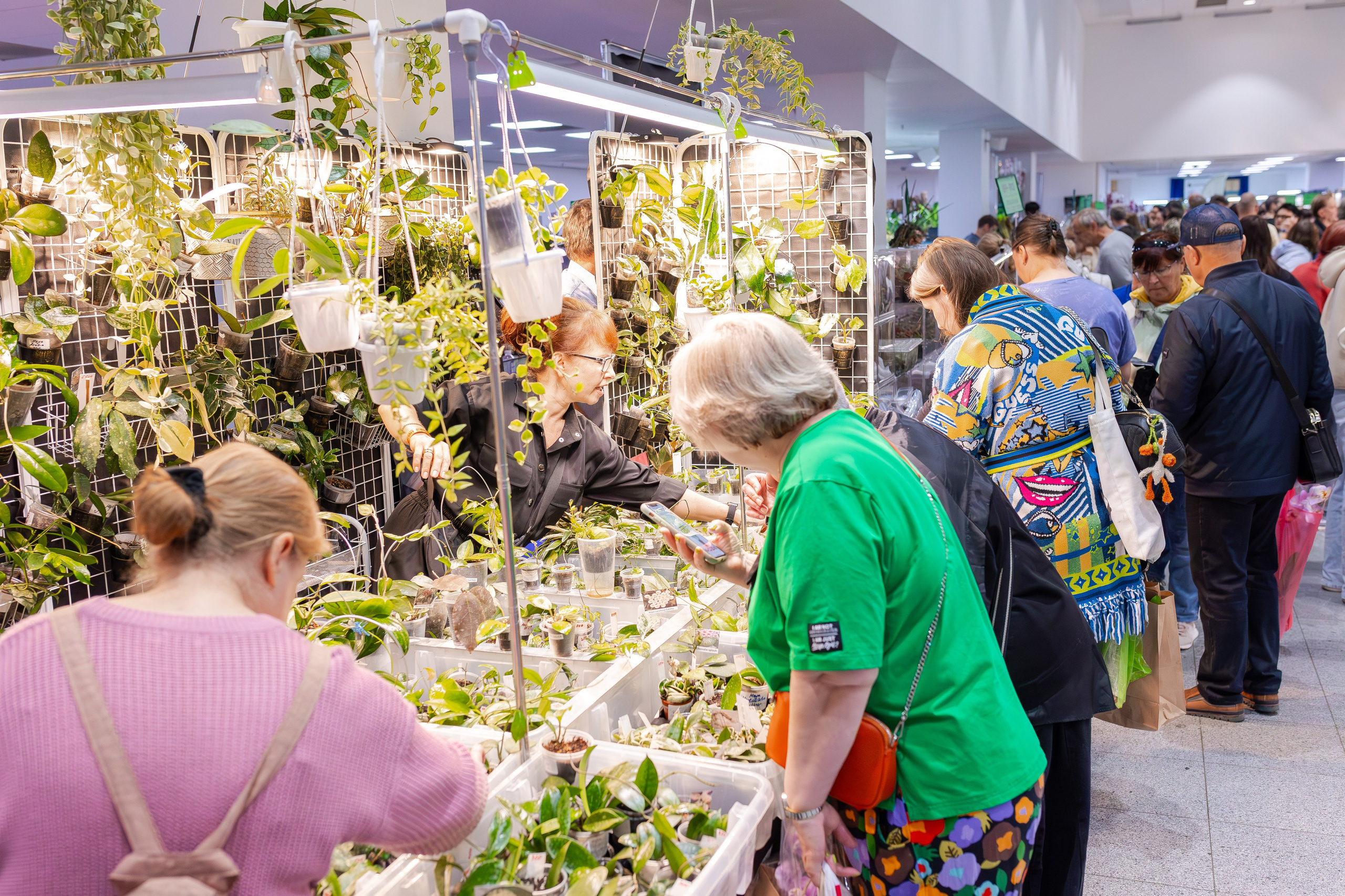 Орхидиум сентябрь 2025. Александра Куликова фотограф, Москва