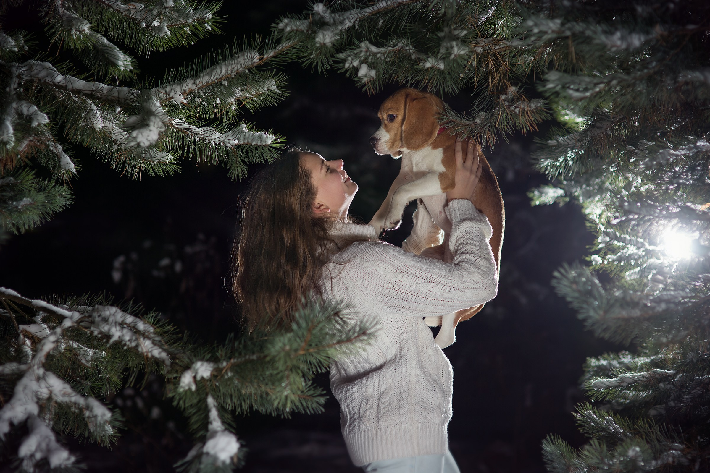 Зимняя сказка. Свадебная фотосъёмка в Москве, Туле