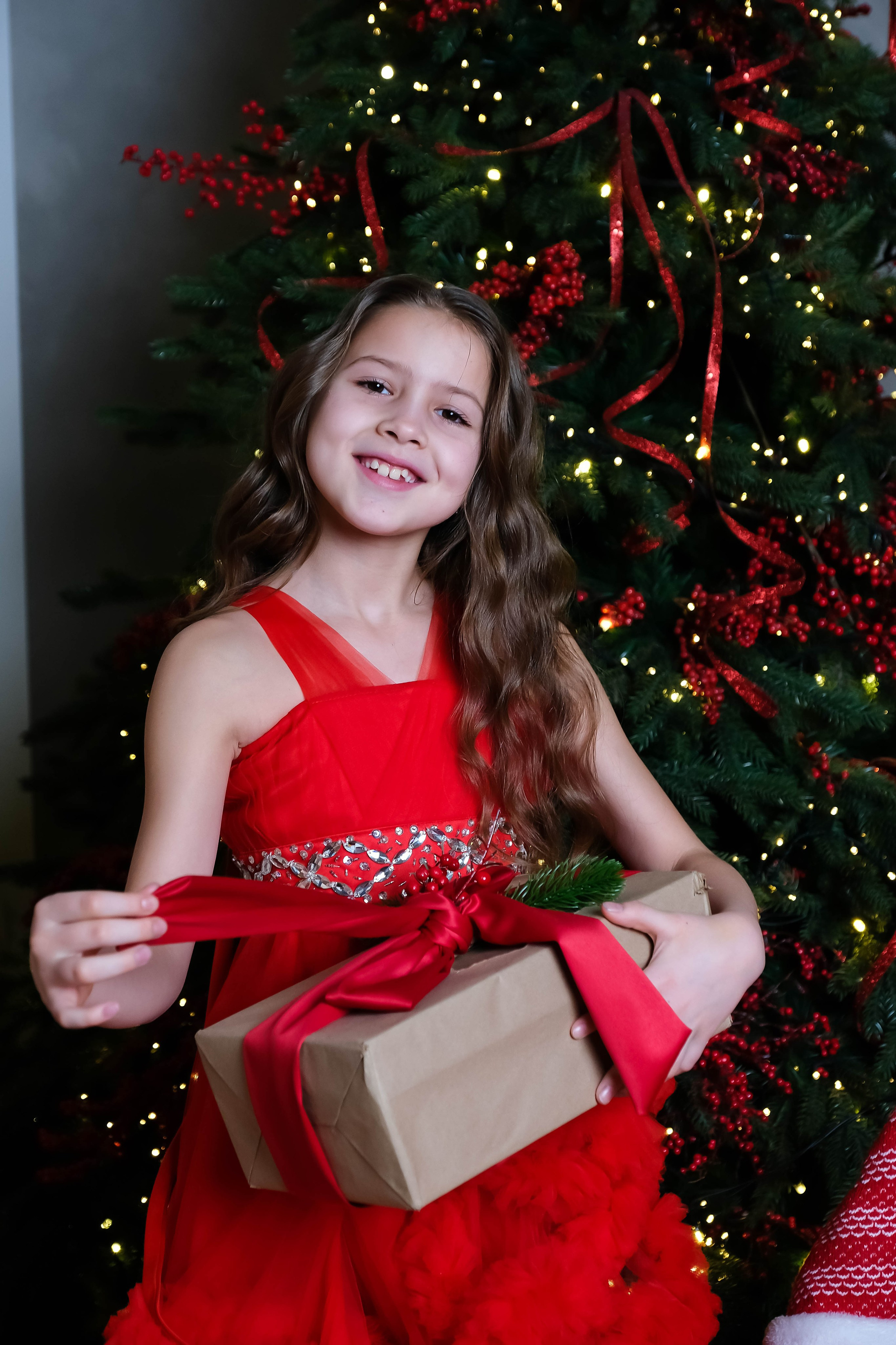 Новогодняя. Фотограф в Красноярске Екатерина Беникаускене