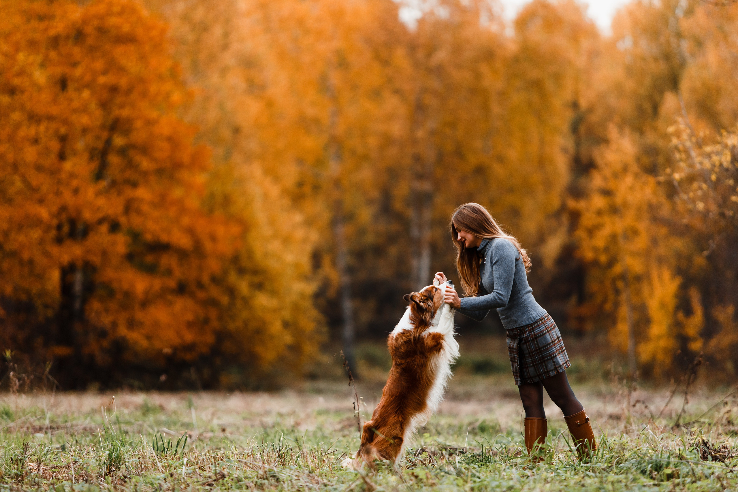 Анималистика. Главная