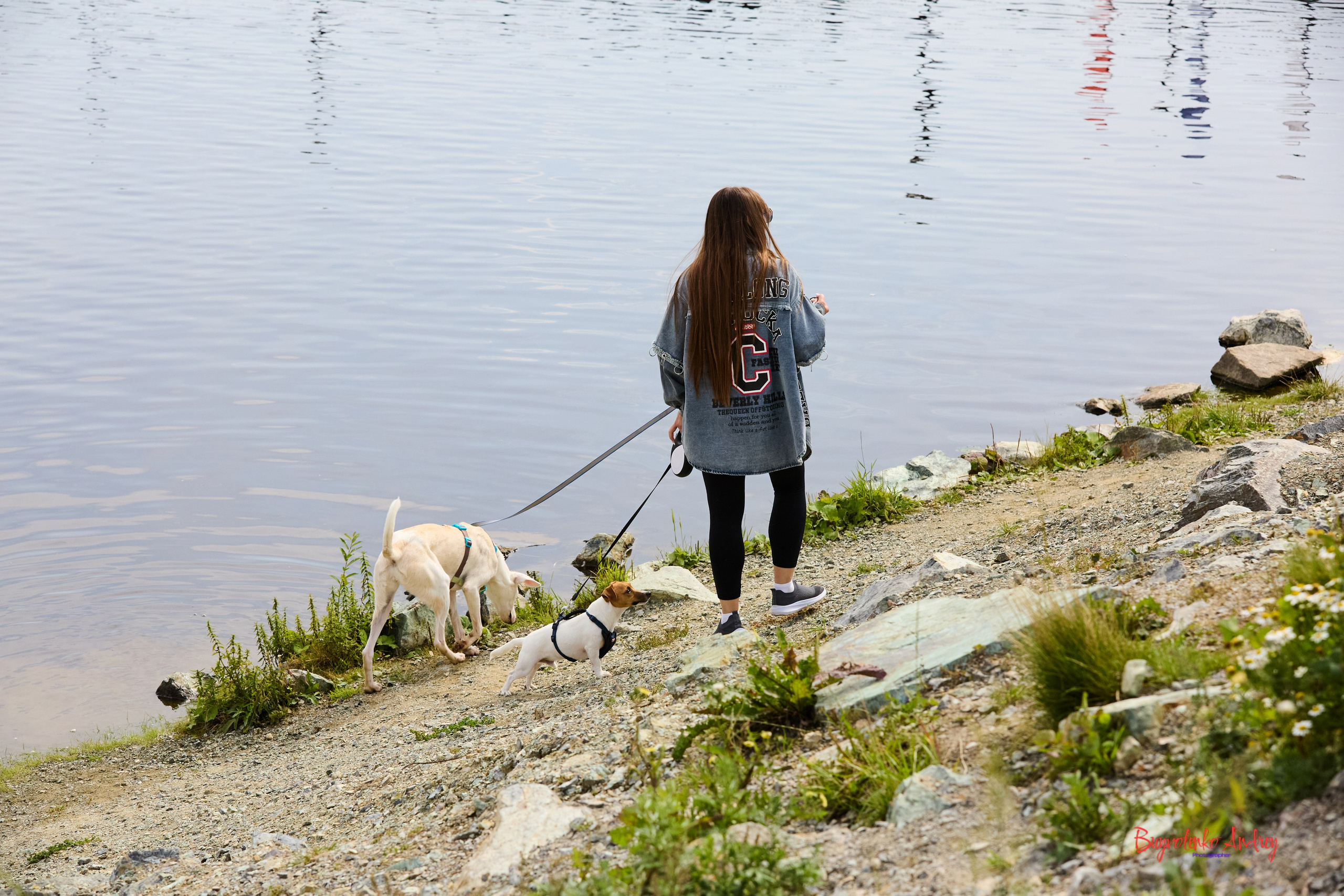 Проект фотопрогулка с хвостиком. Buyvolenko Andrey