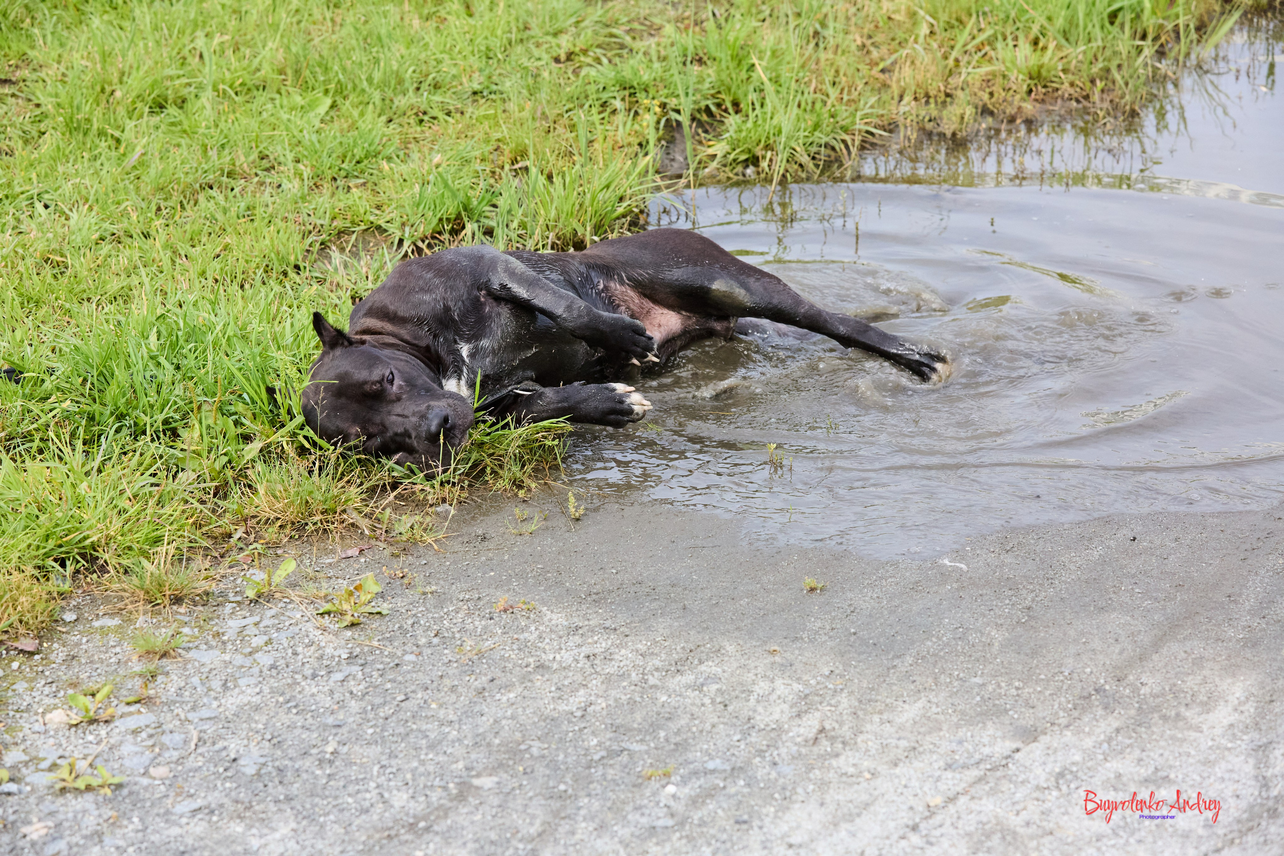 Проект фотопрогулка с хвостиком. Buyvolenko Andrey