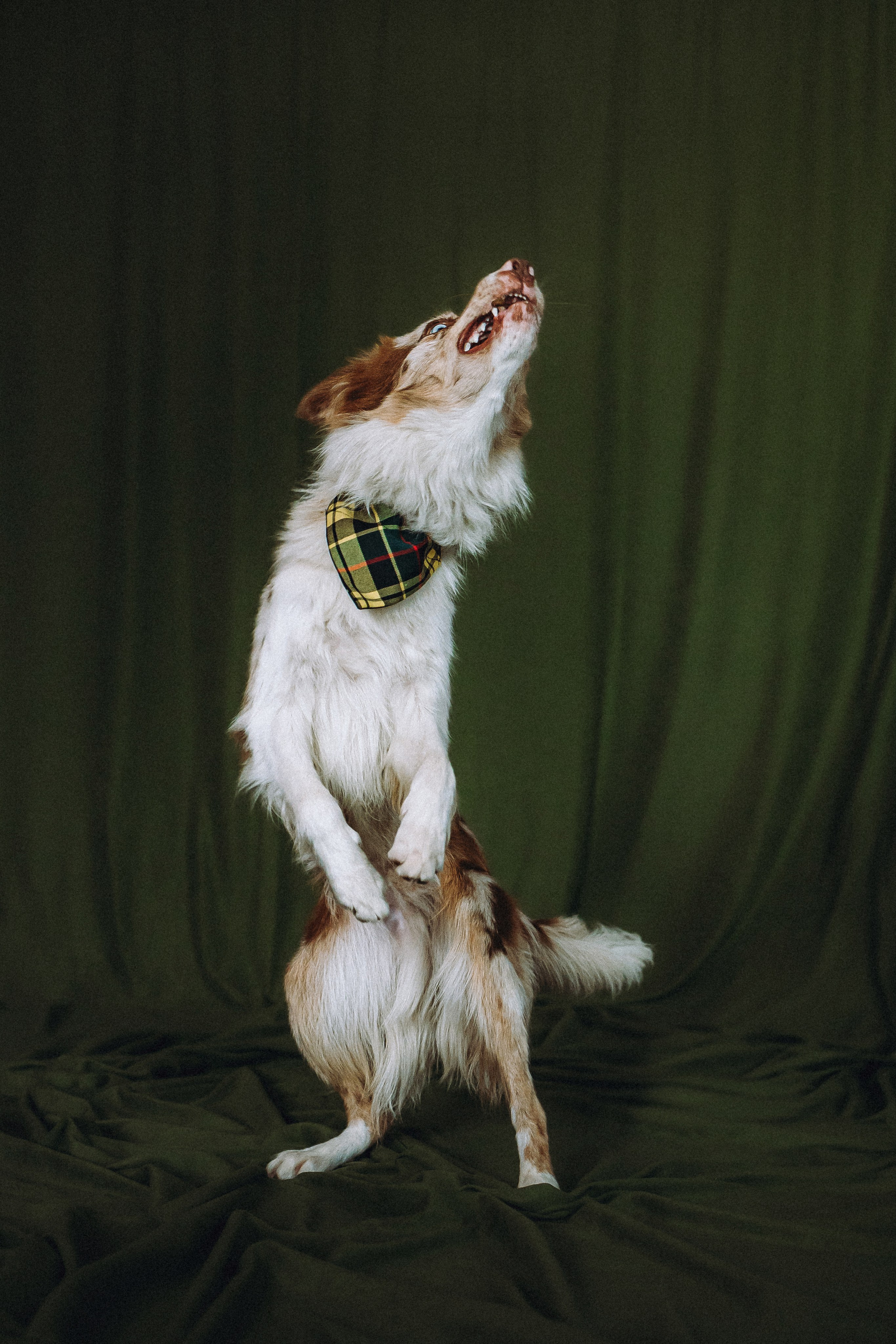 День рождения Айко