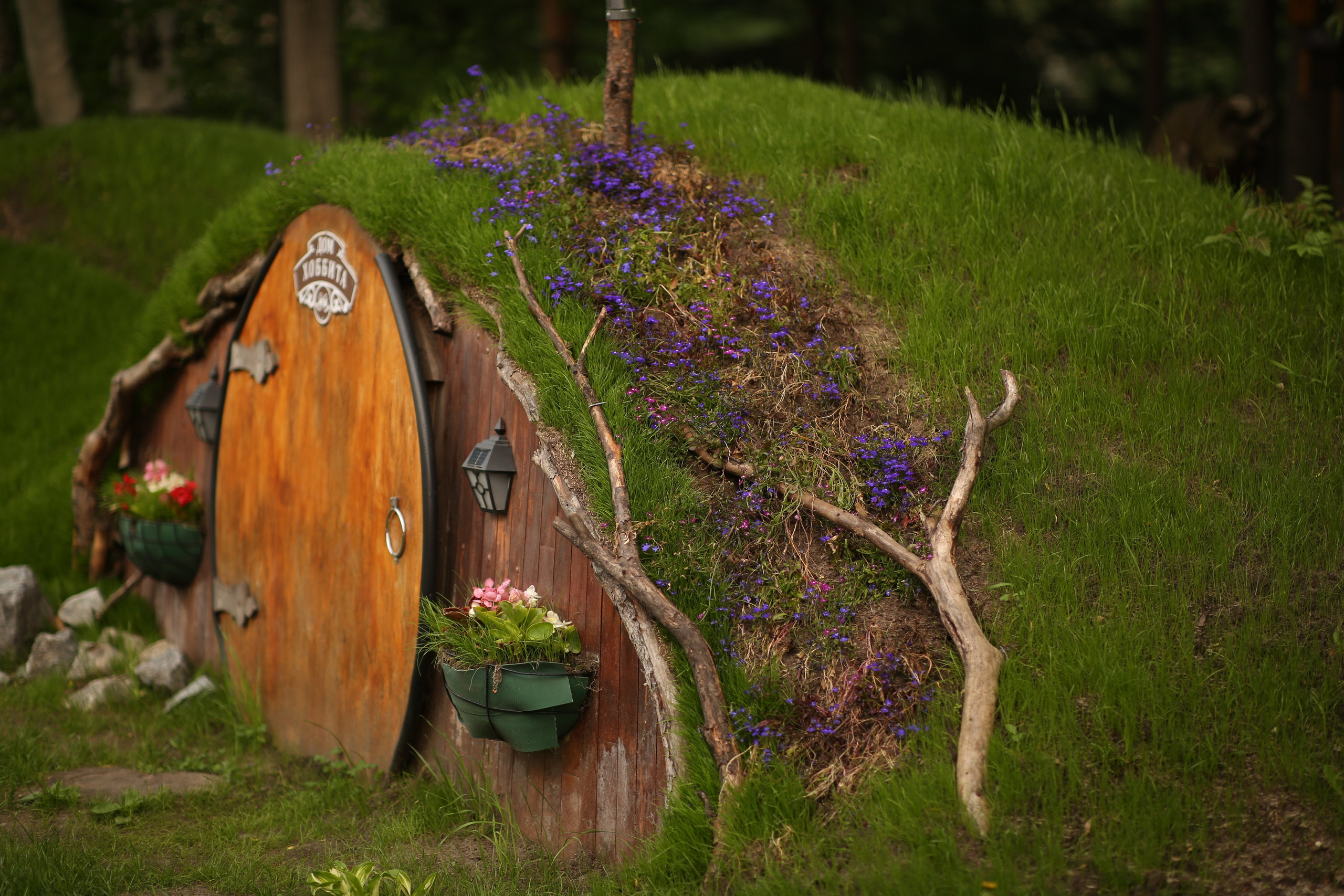 Сургут. Фотограф в г. Сургуте Марина Киприна