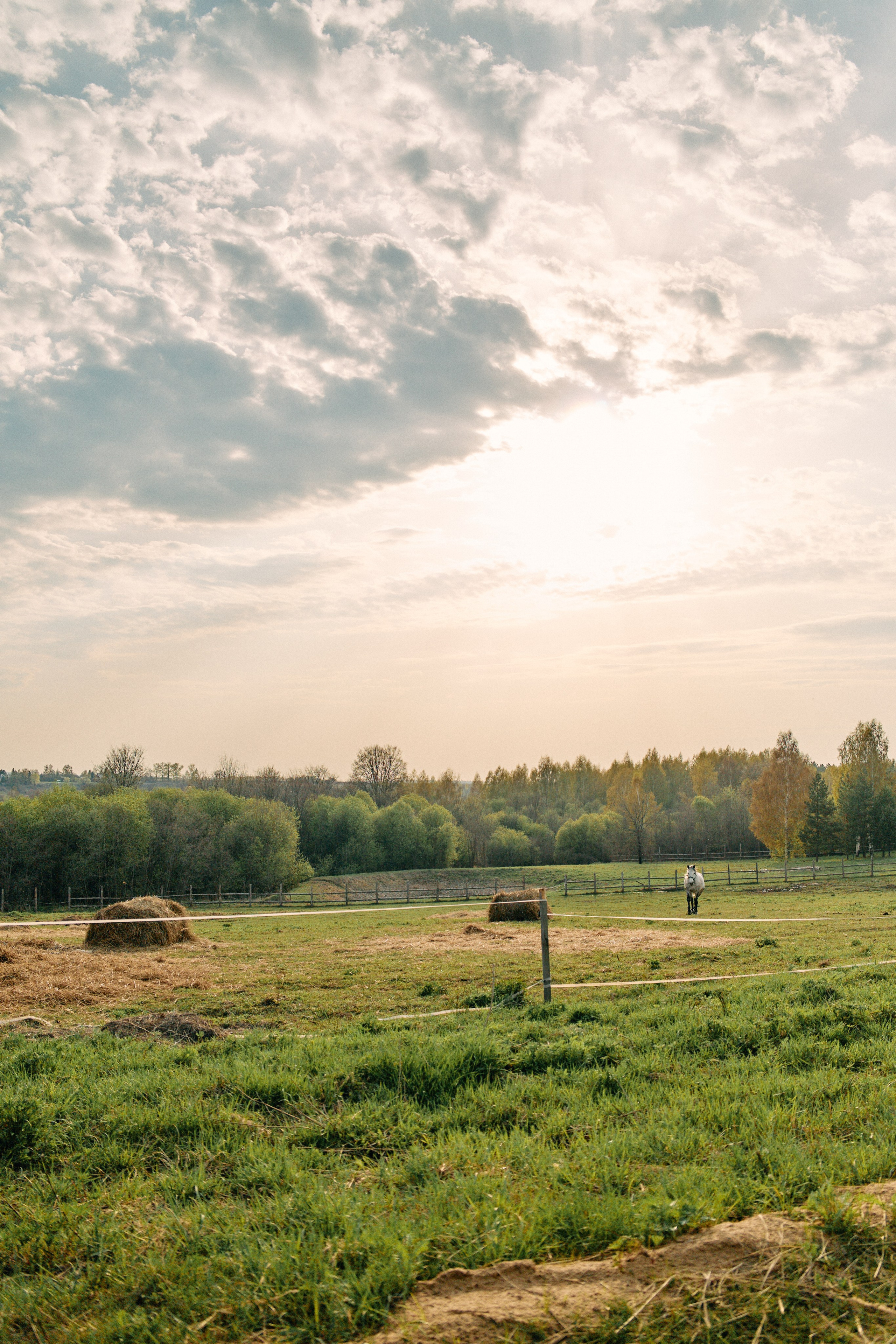 Бутик-отель Поле летом. Профессиональный Фотограф во Владимире, в Москве и в Суздале — Полина Романычева