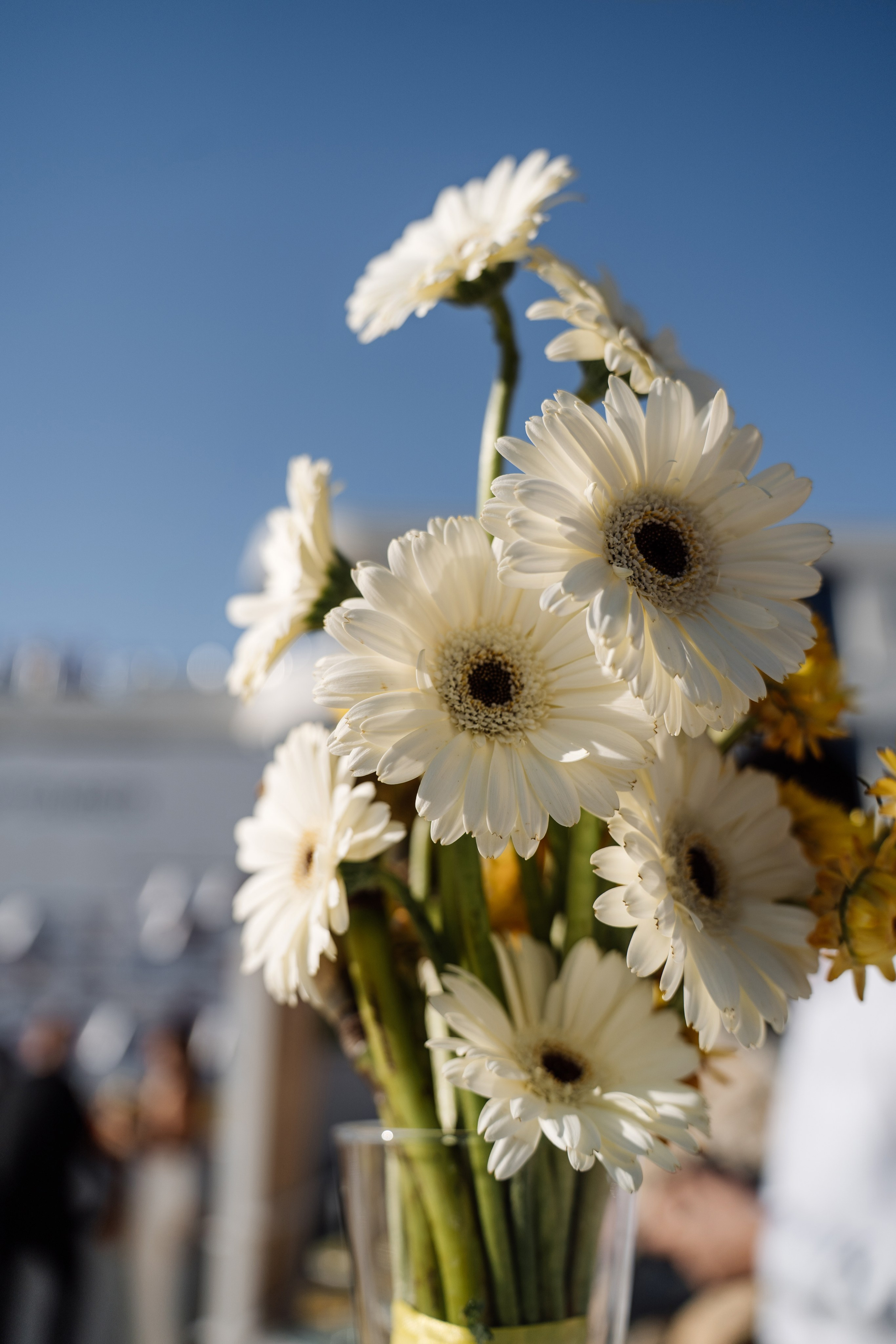 Одним сентябрьским днем 🍂. Свадебный фотограф и видеограф в Тольятти, Самаре и Москве — Арзу Магеррамов
