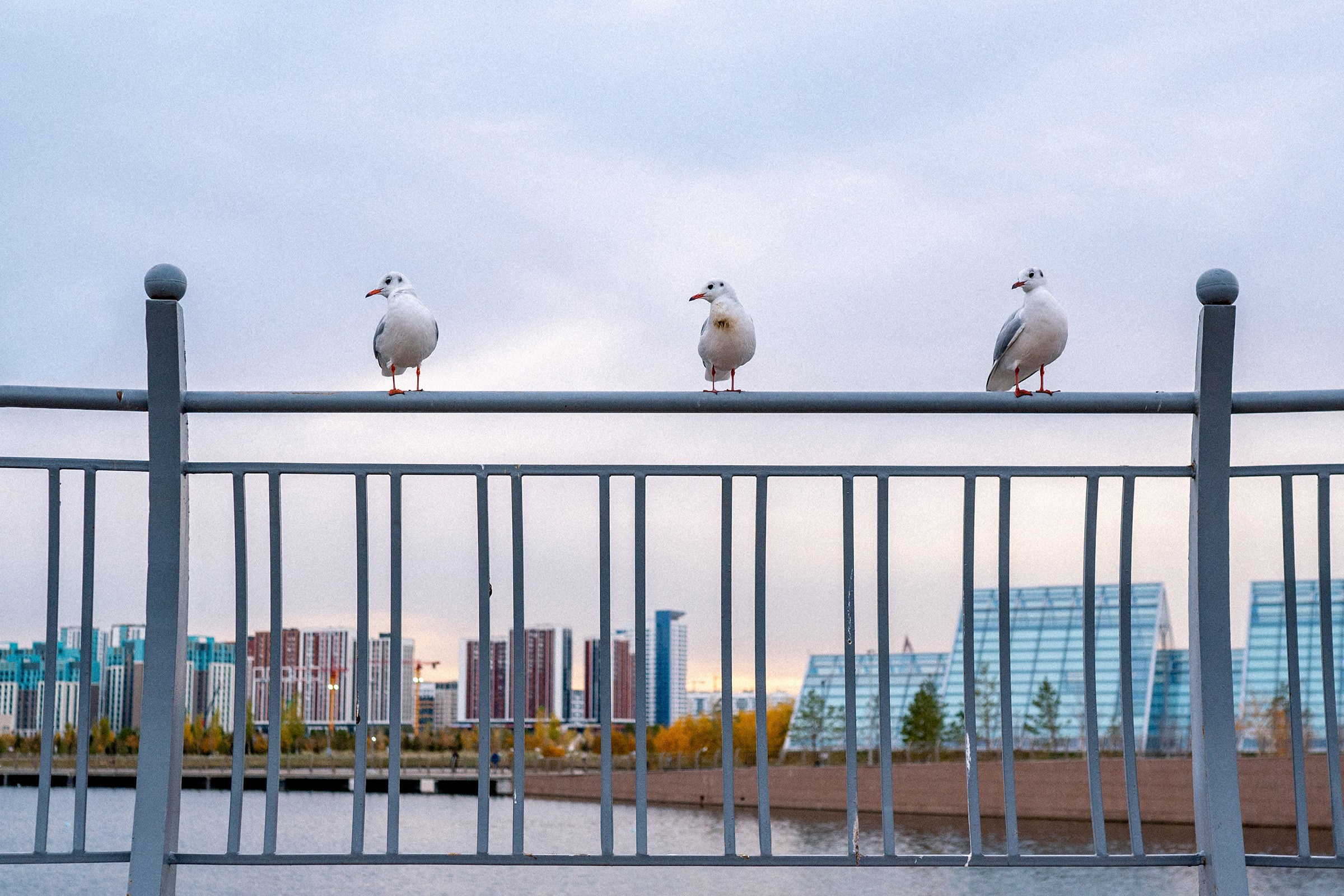Репортажная съёмка. Профессиональный фотограф в Санкт-Петербурге