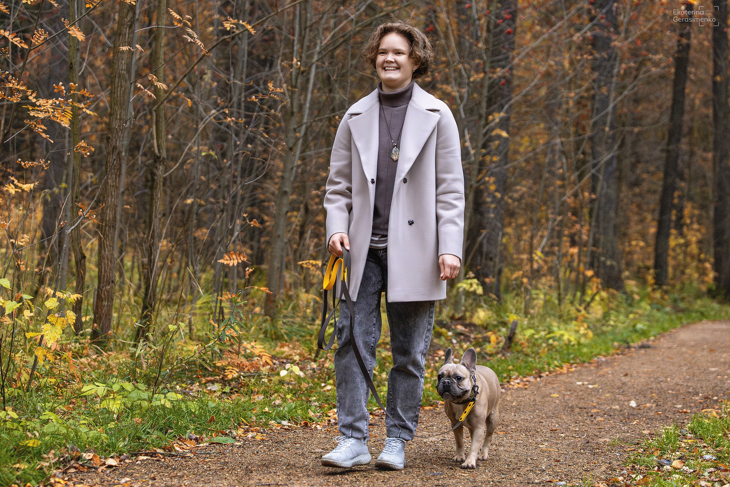 Французский бульдог Ника. Htykk_photo