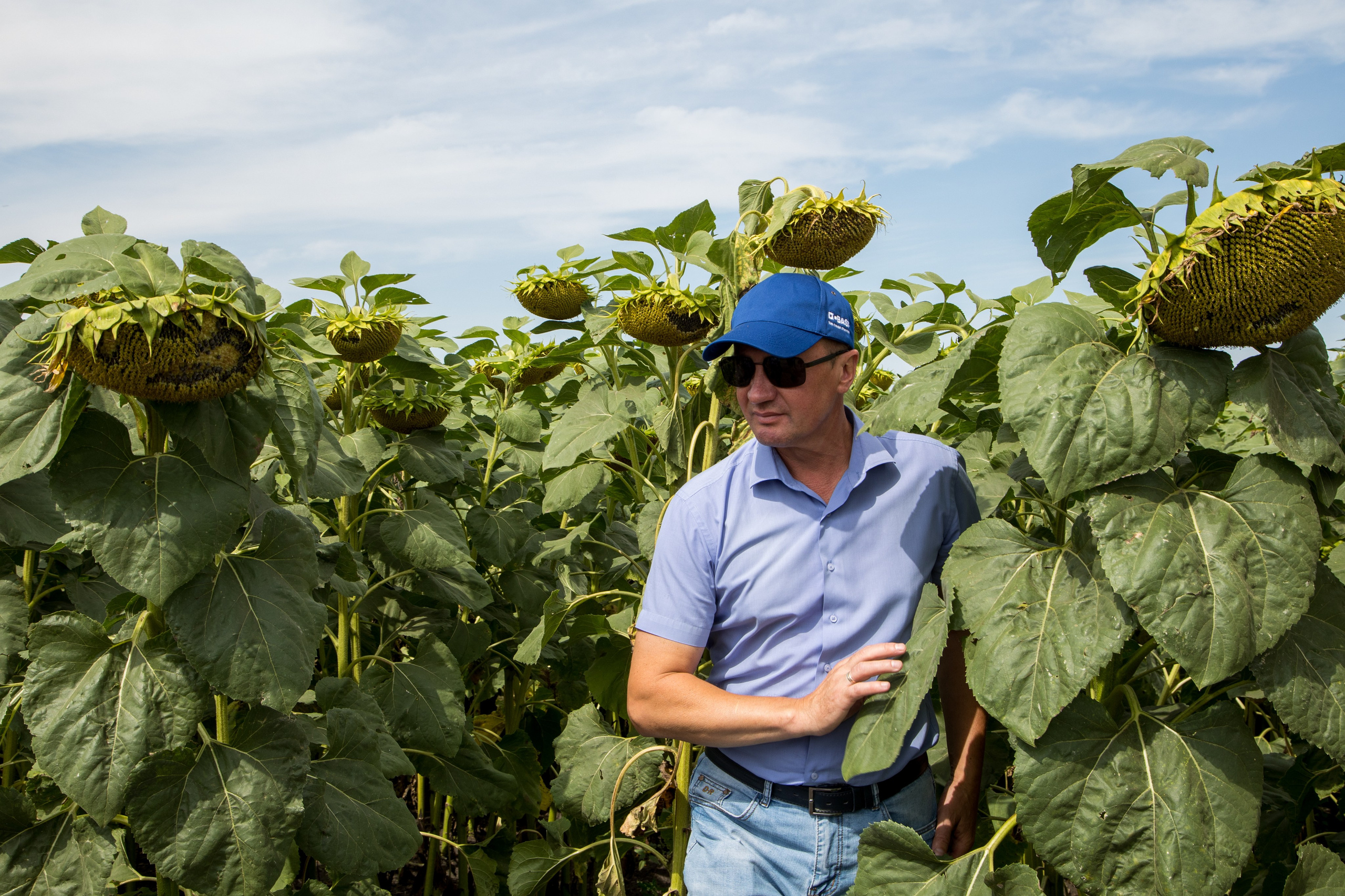 Решения для сельского хозяйства BASF 16.08.2022. Владислав Волков | Фотография и видеосъемка в Воронеже