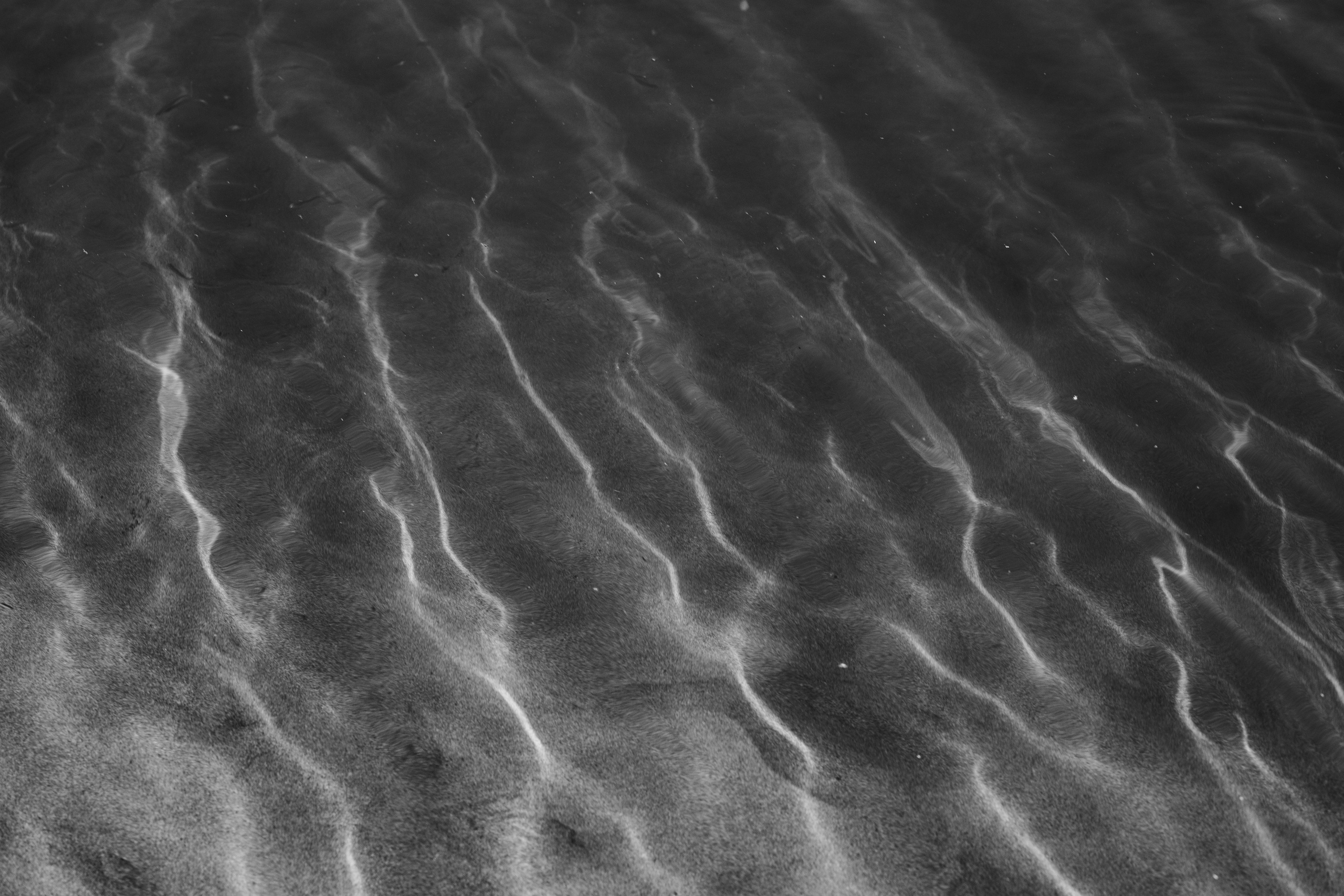 Portfolio. @beingabird.photography