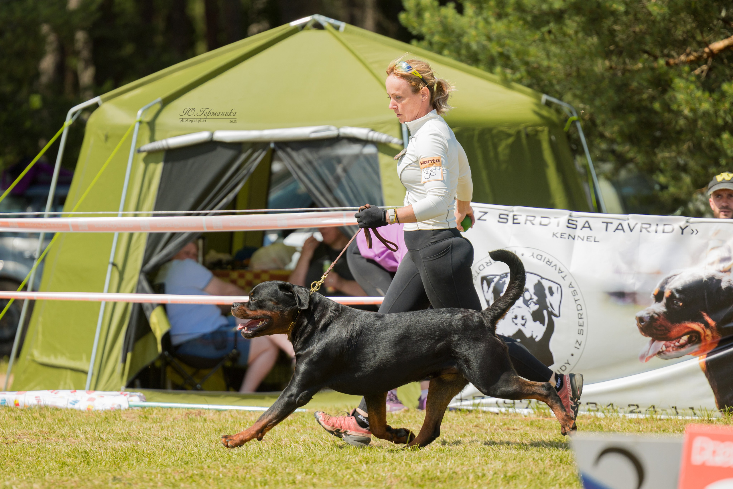 Тверь ротвейлеры 5-6.07.2025. Фотограф-анималист Юлия Германика