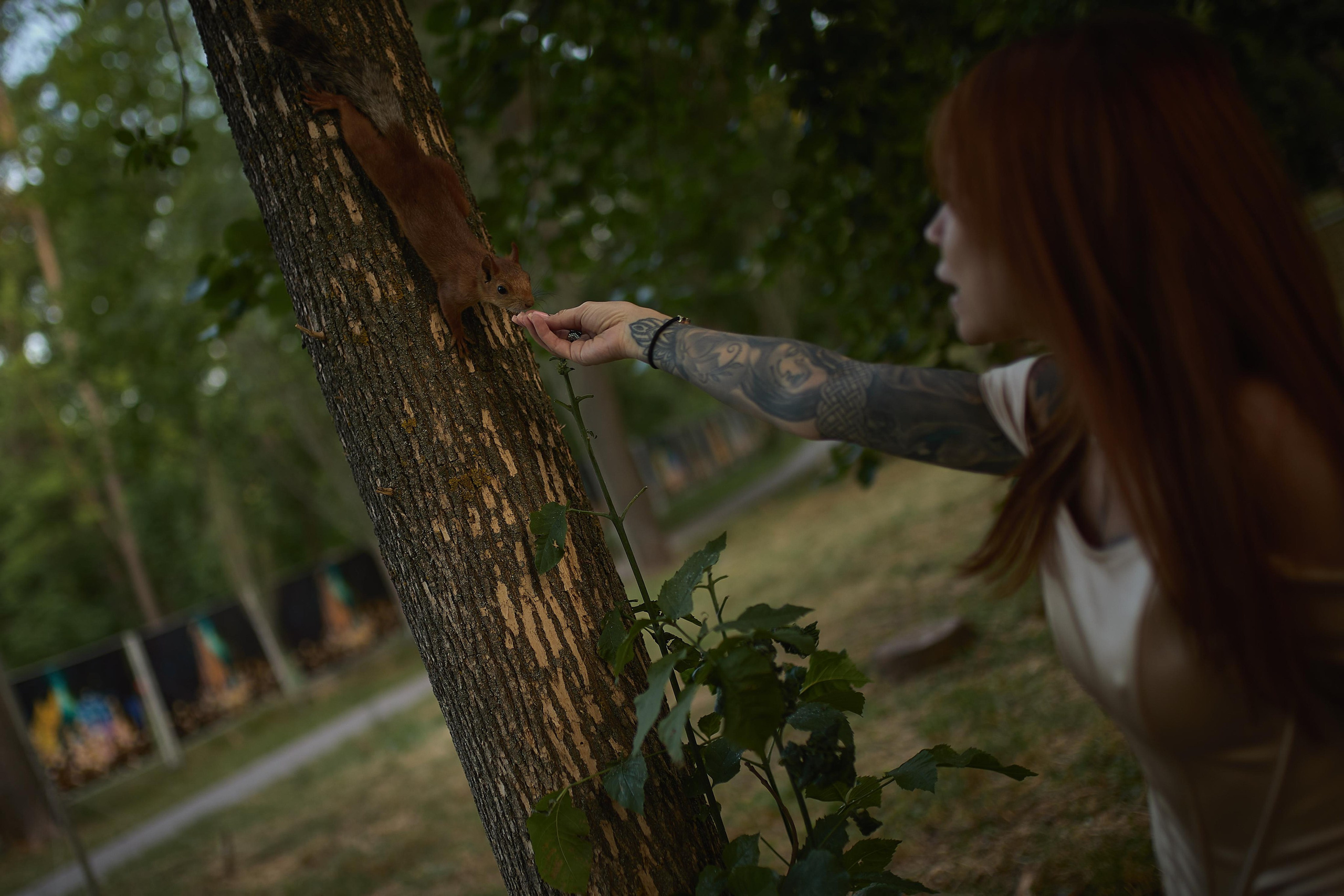 Татьяна. Фотограф в Ростове-на-Дону Ника Обида