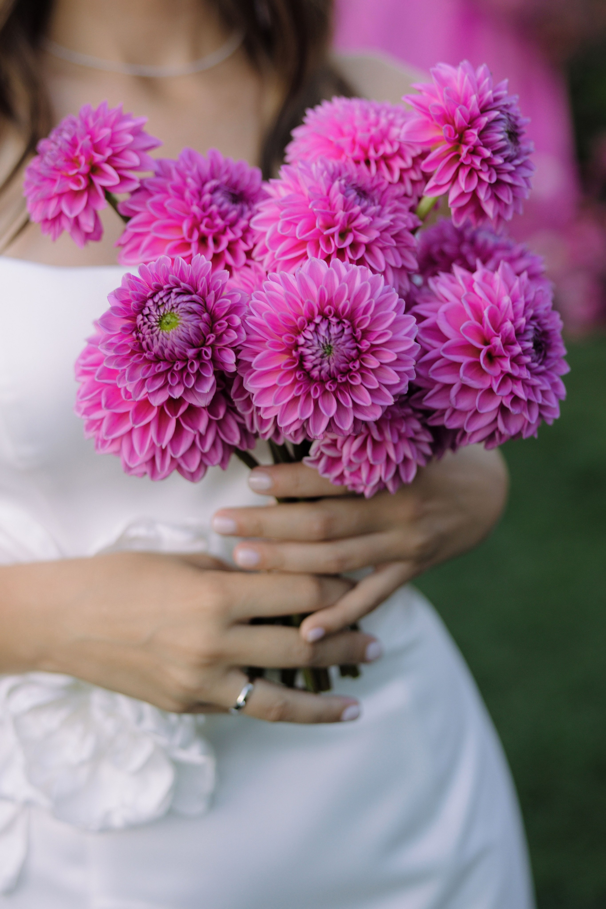 Artem & Victoria. Главная