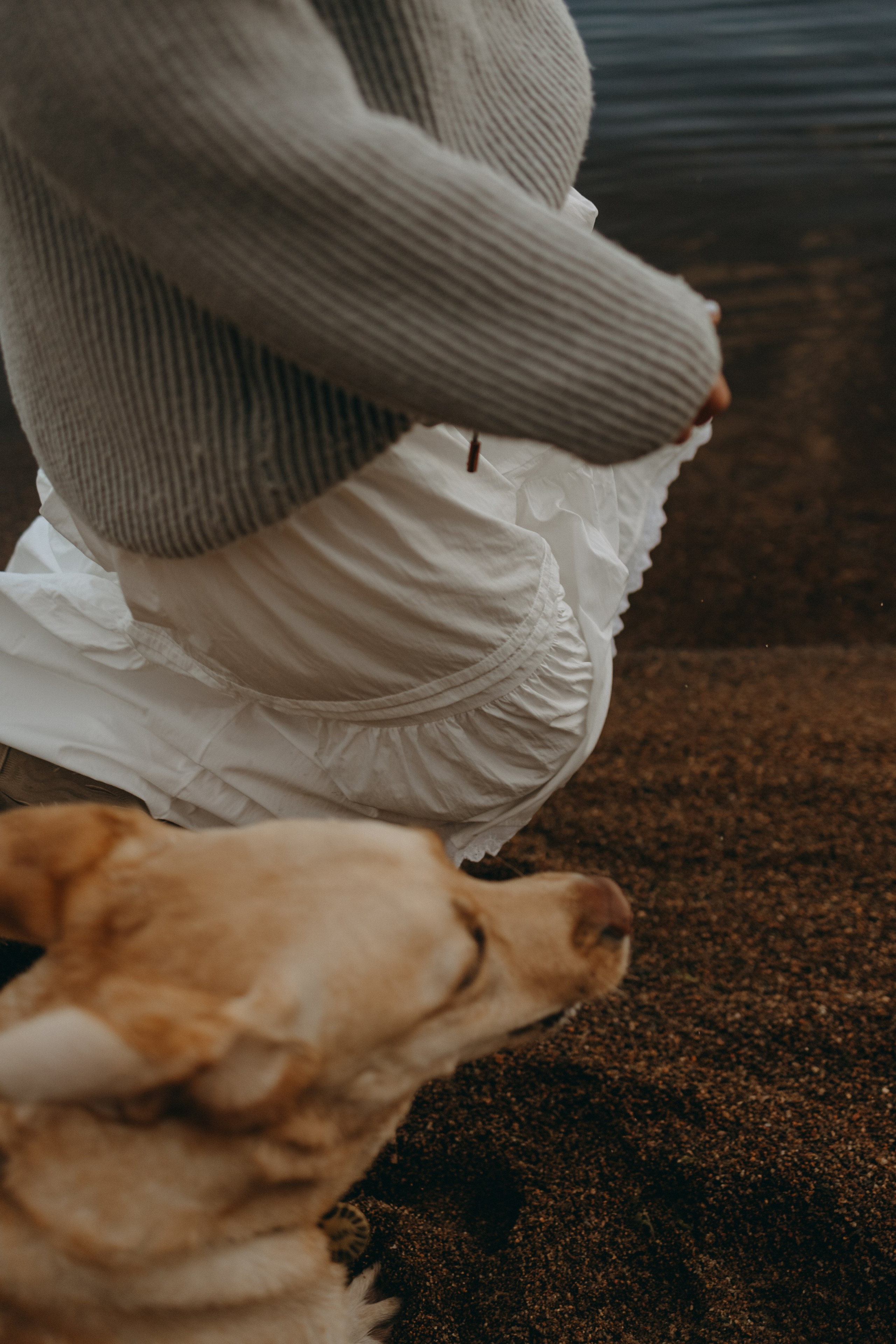 Наташа и Шани. Фотограф — Анималист | Санкт-Петербург