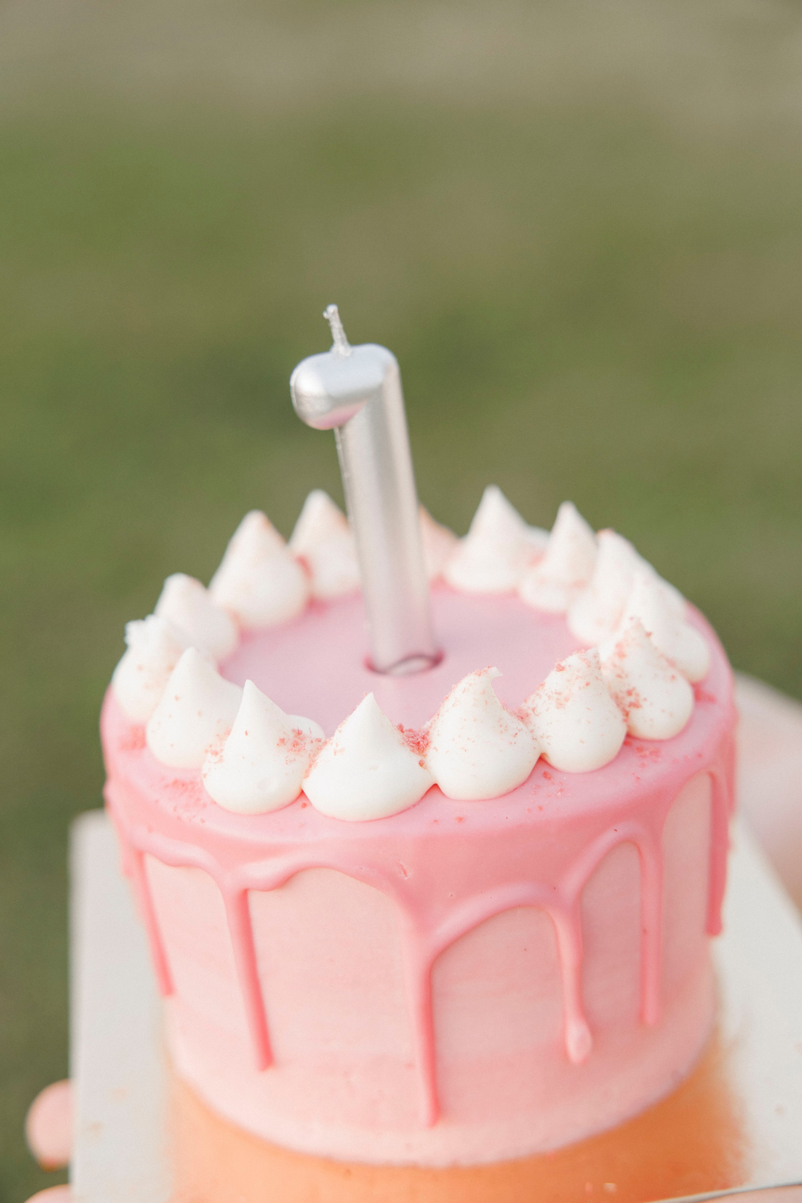 First year photoshoot inside the park (sunset). Wedding and family photographer