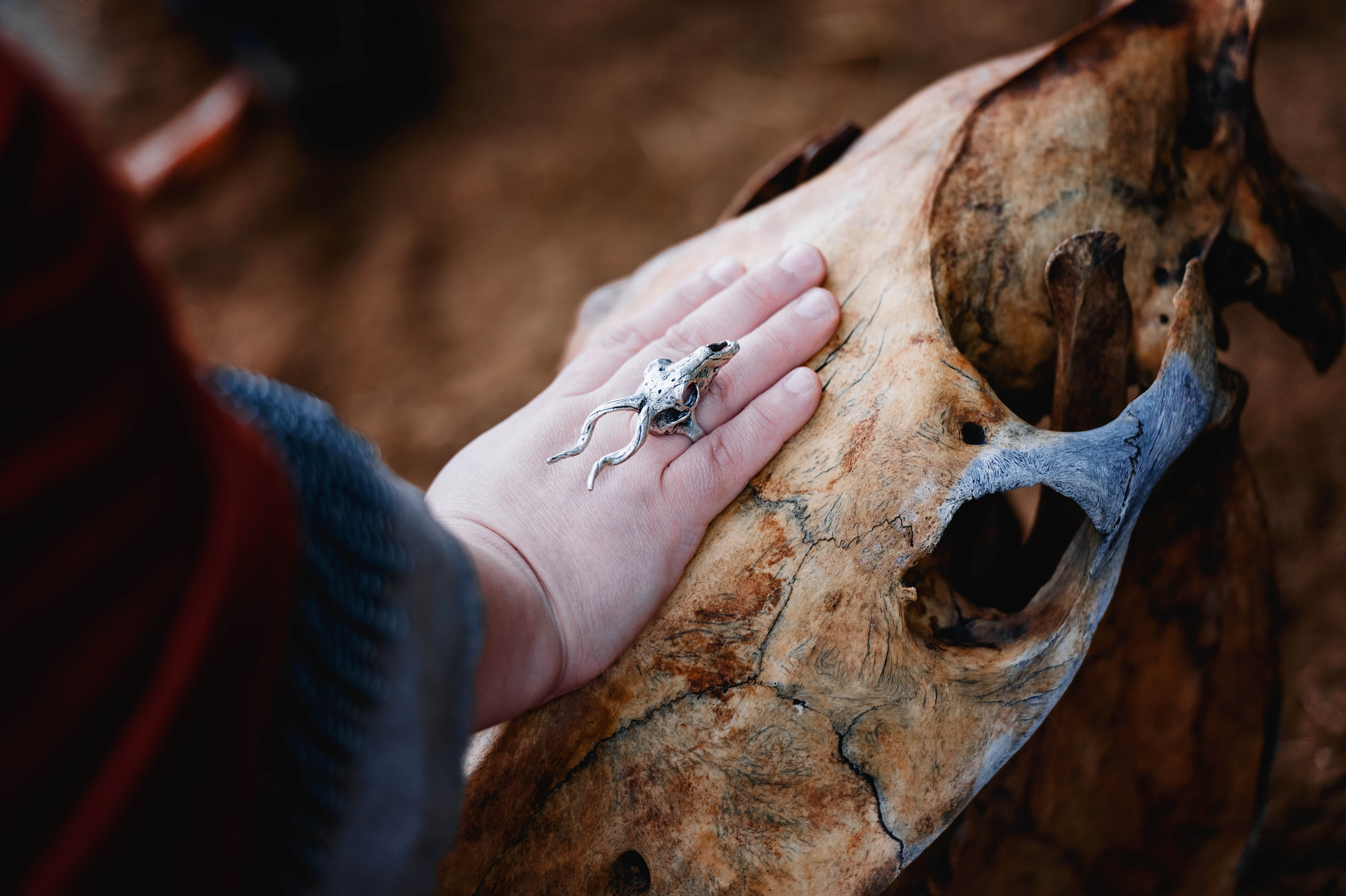 Кайхо и Ксения. Фотограф-анималист