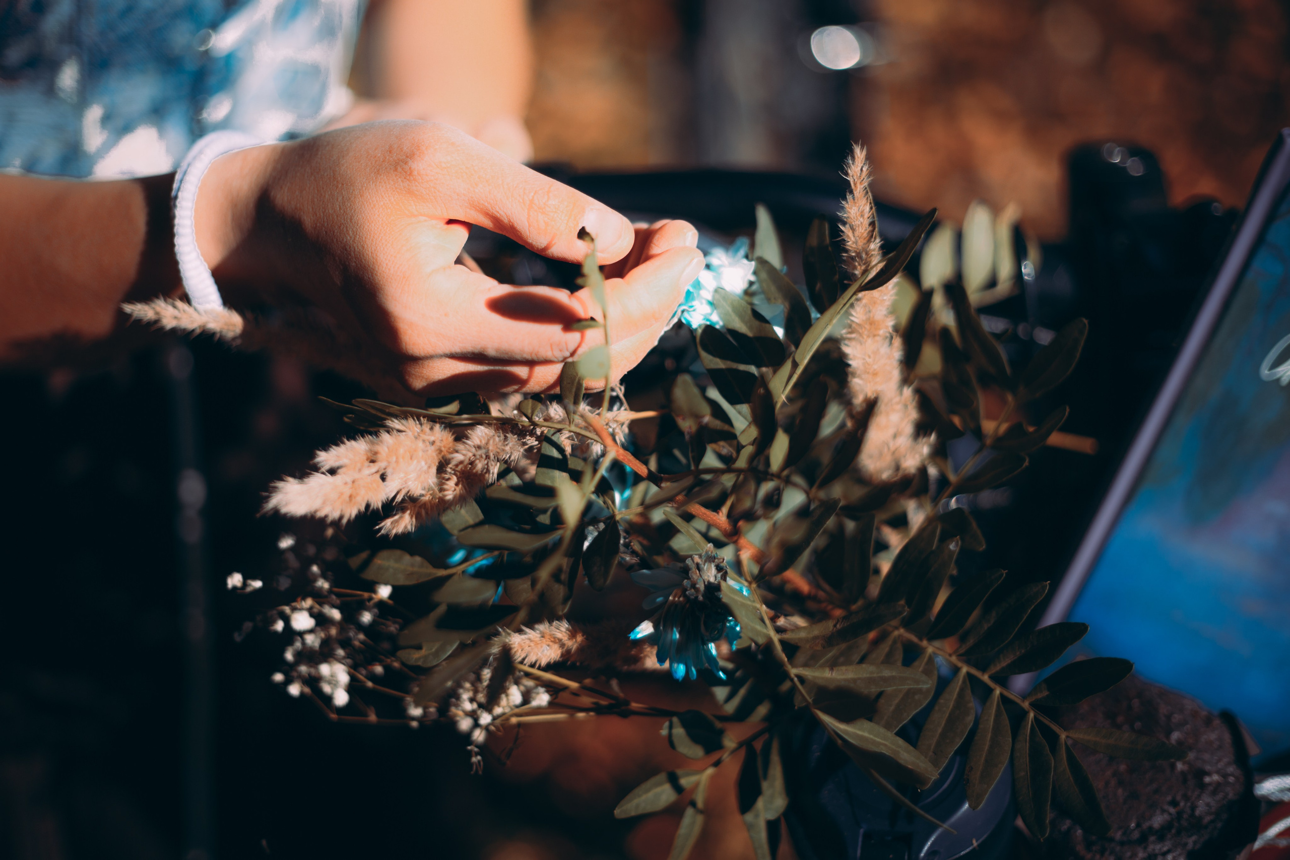 Амели на пикнике. Арт-фотограф Крис Л. в Тобольске: портрет, семейные, свадьбы
