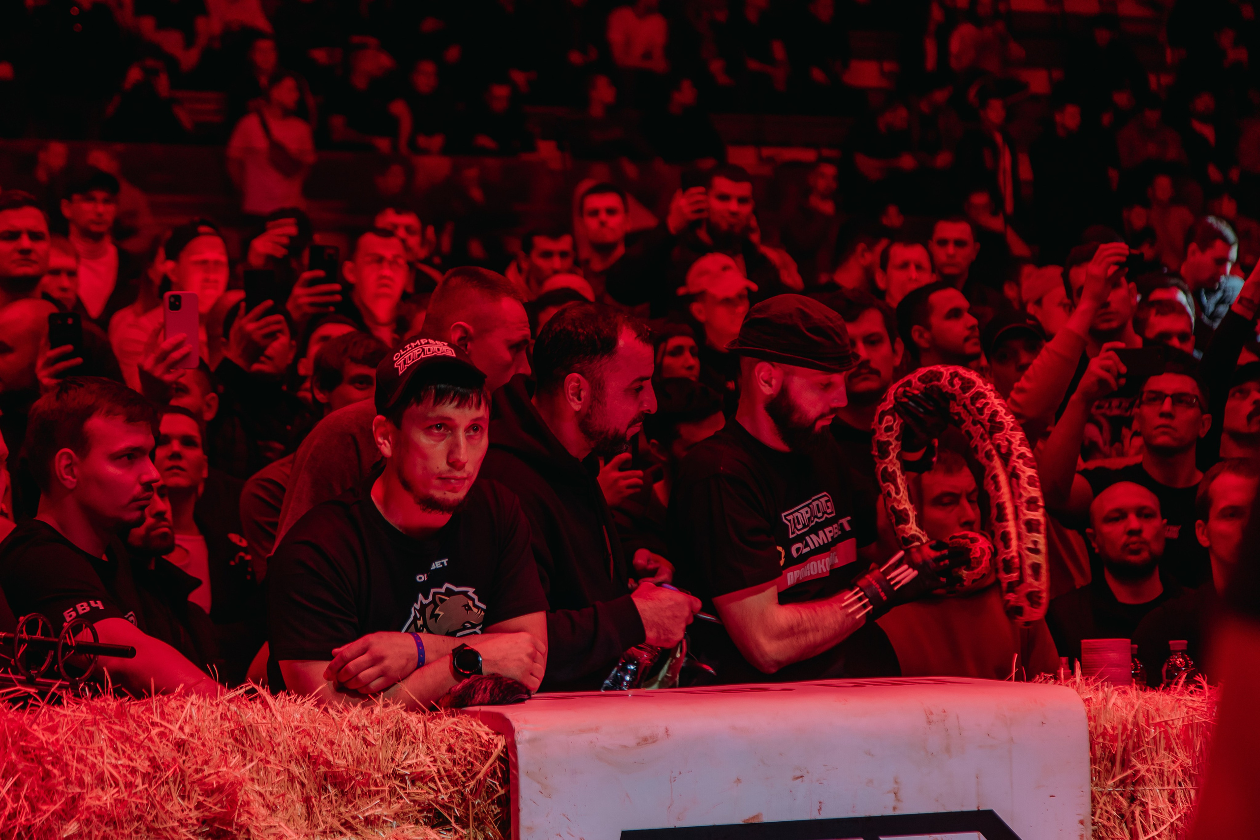 TOPDOG — 32. Фотограф в Саратове Александр Кухаренко. И не только в Саратове :)