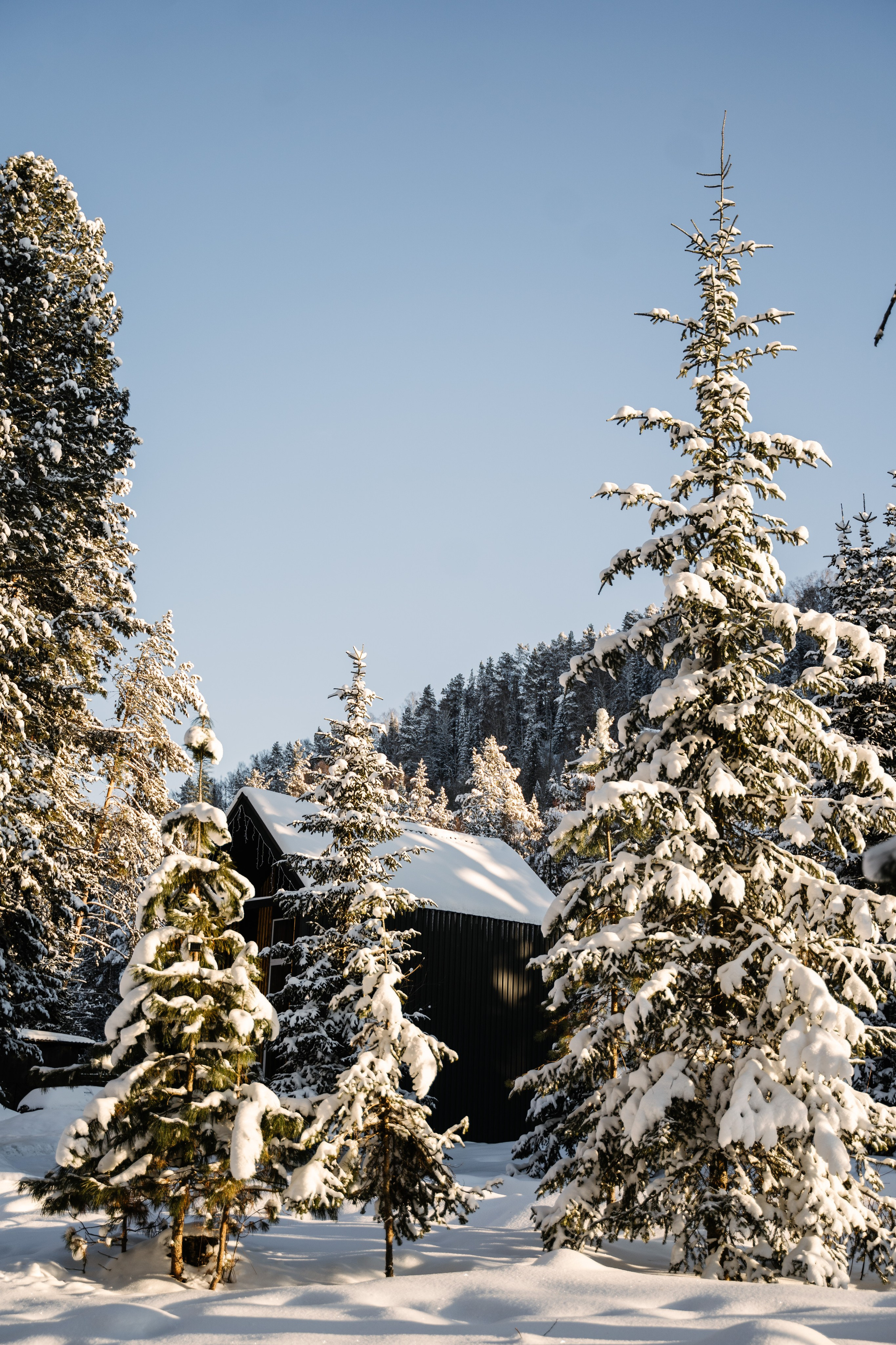 Релекс ТЕЛЕЦКОЕ. Фотограф Ольга Пучкова