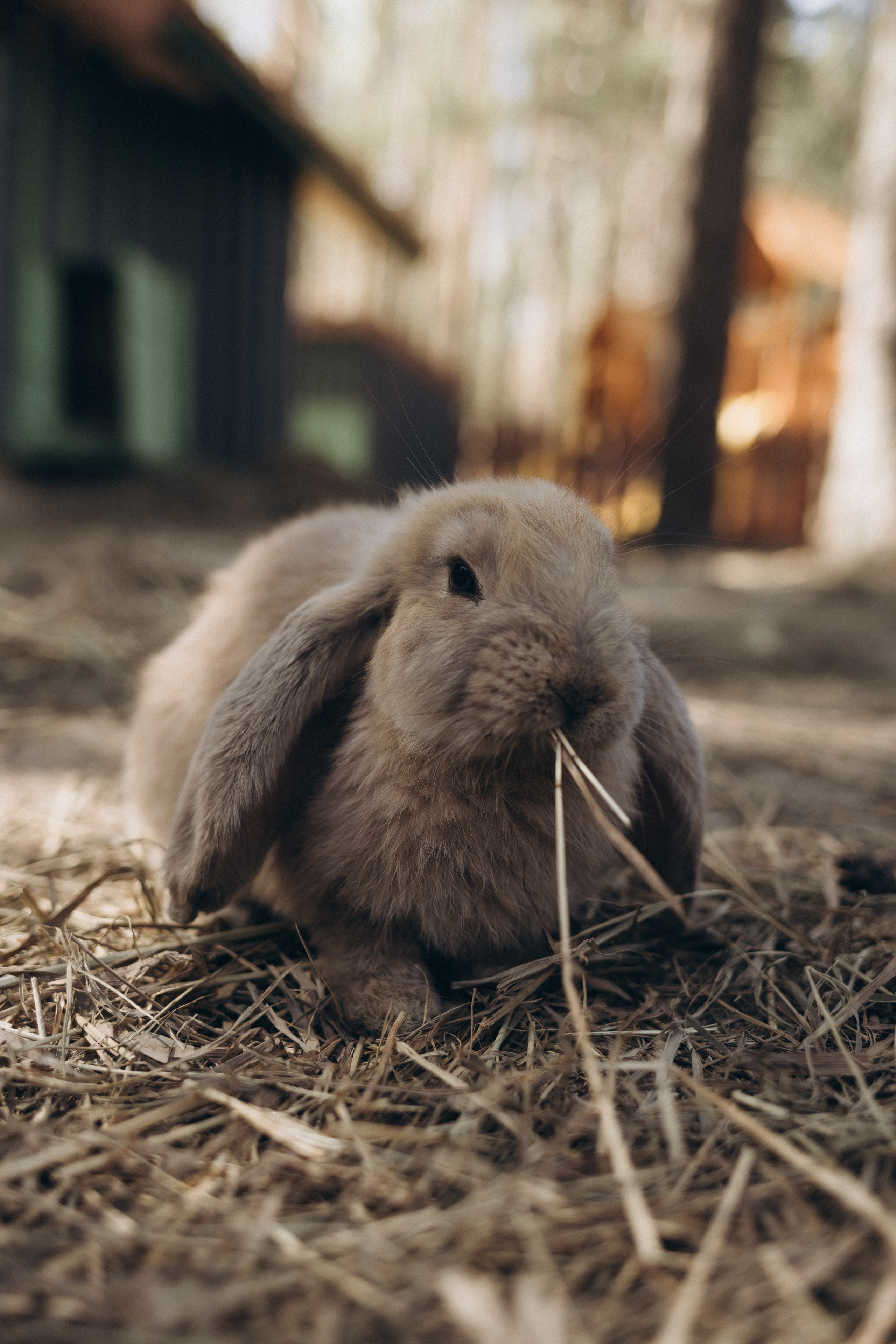 Репортаж и контент съемки. Фотограф Петрозаводск/СПБ