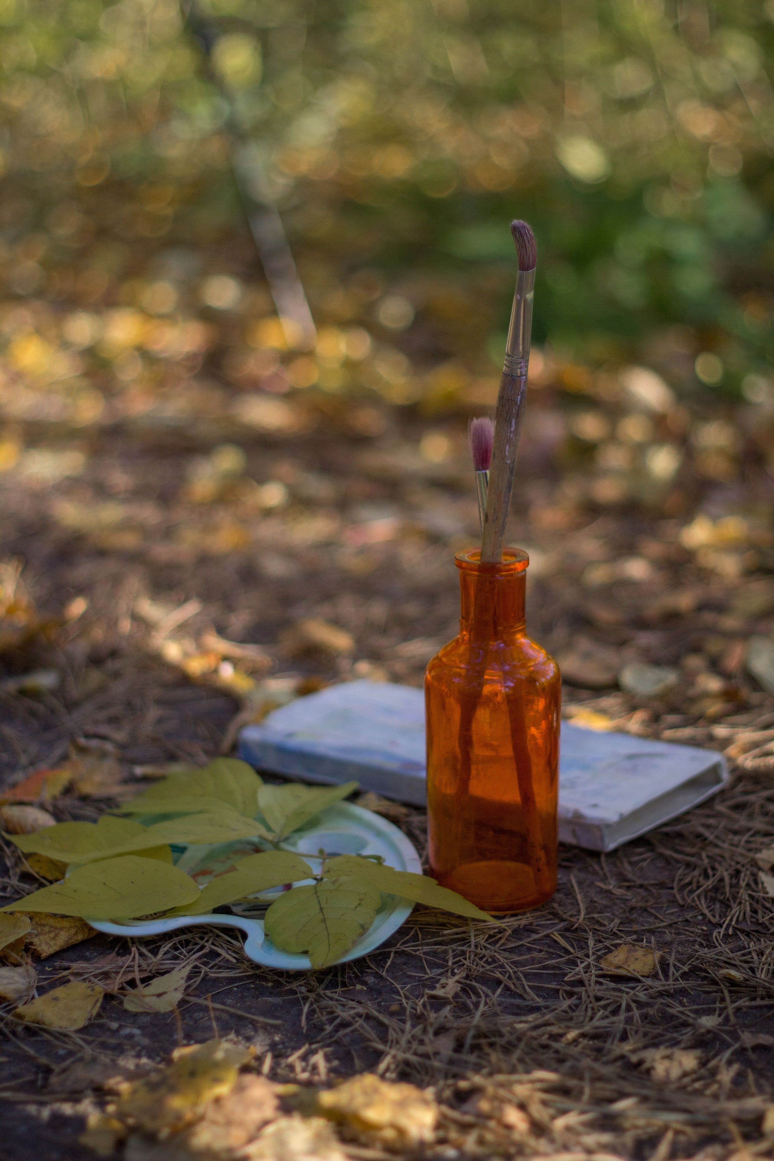 Художественное творчество. Ваш фотограф Северск | Томск