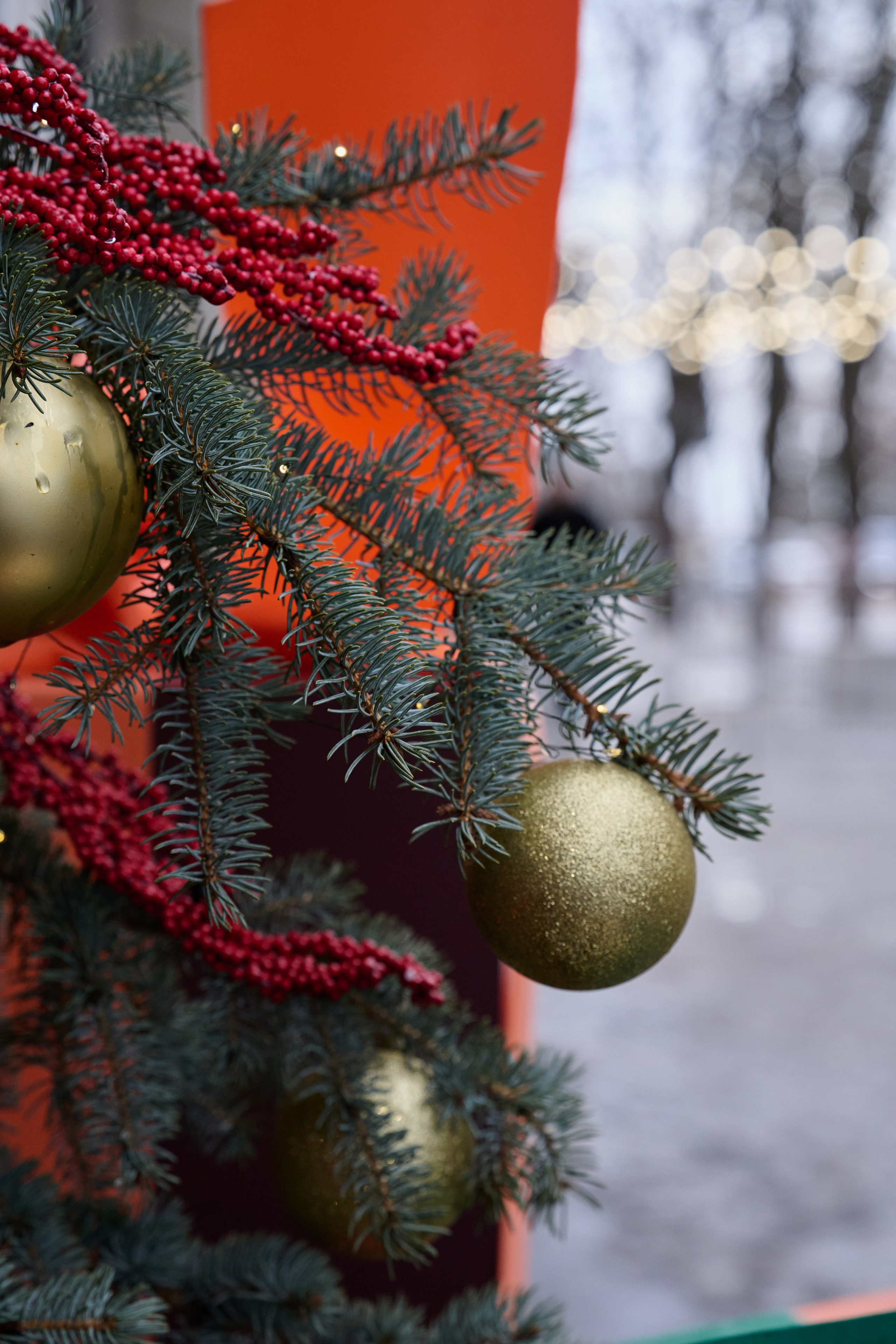 Луганск. Январь 2026. Фотопроект «Территории»