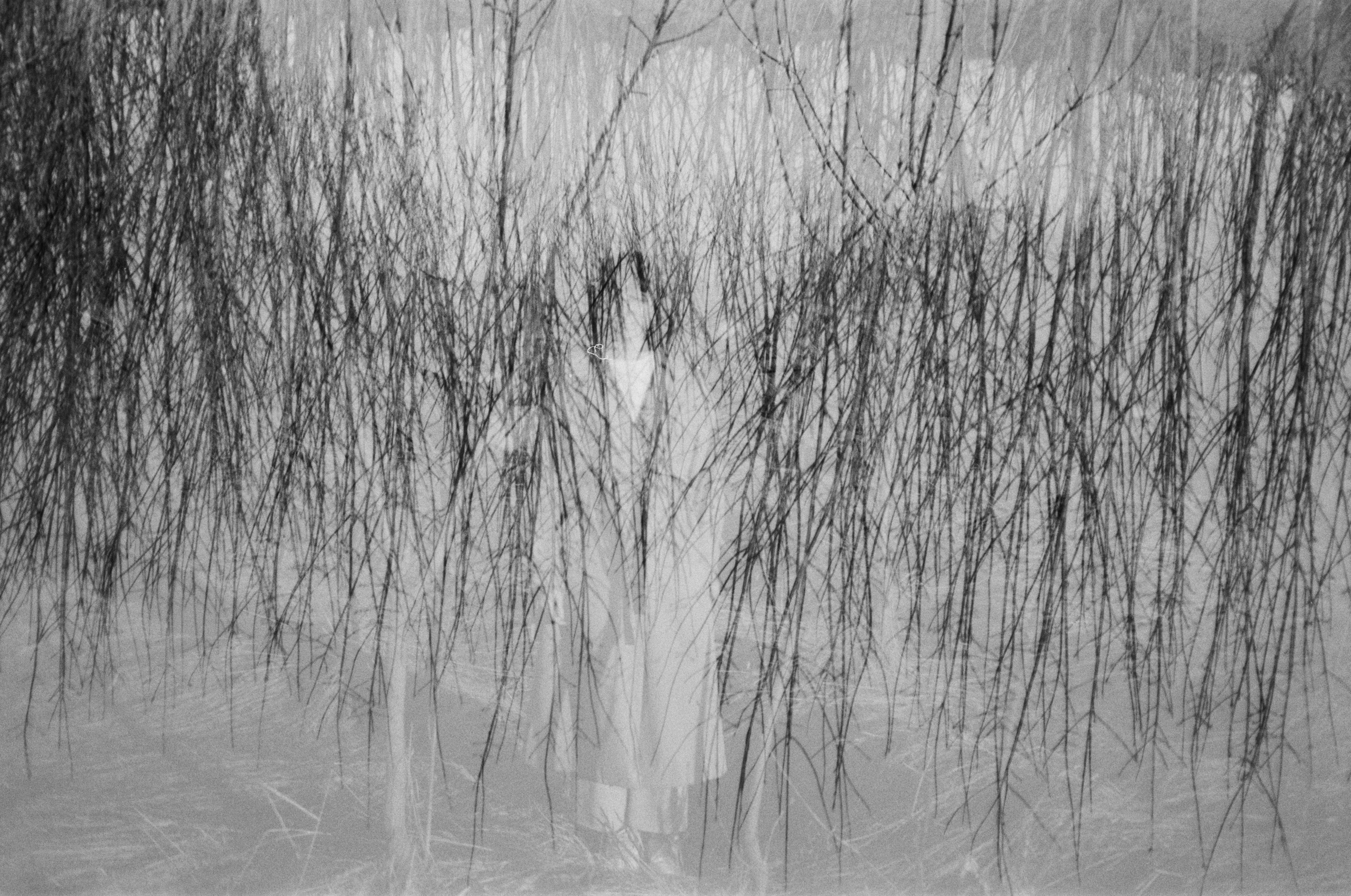 Journal. Photographer Dima Sharov | Фотограф Дима Шаров