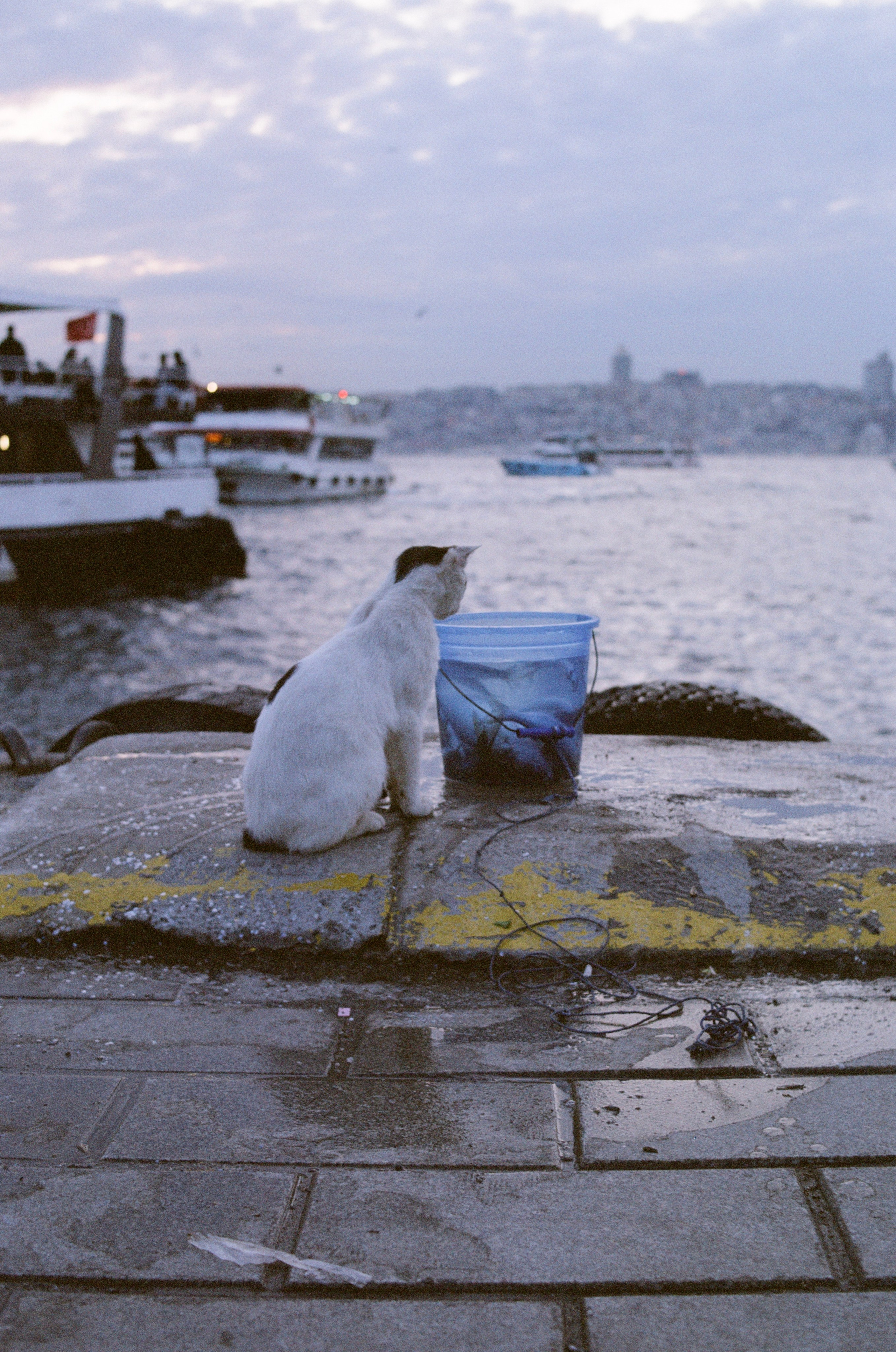 Journal. Photographer Dima Sharov | Фотограф Дима Шаров