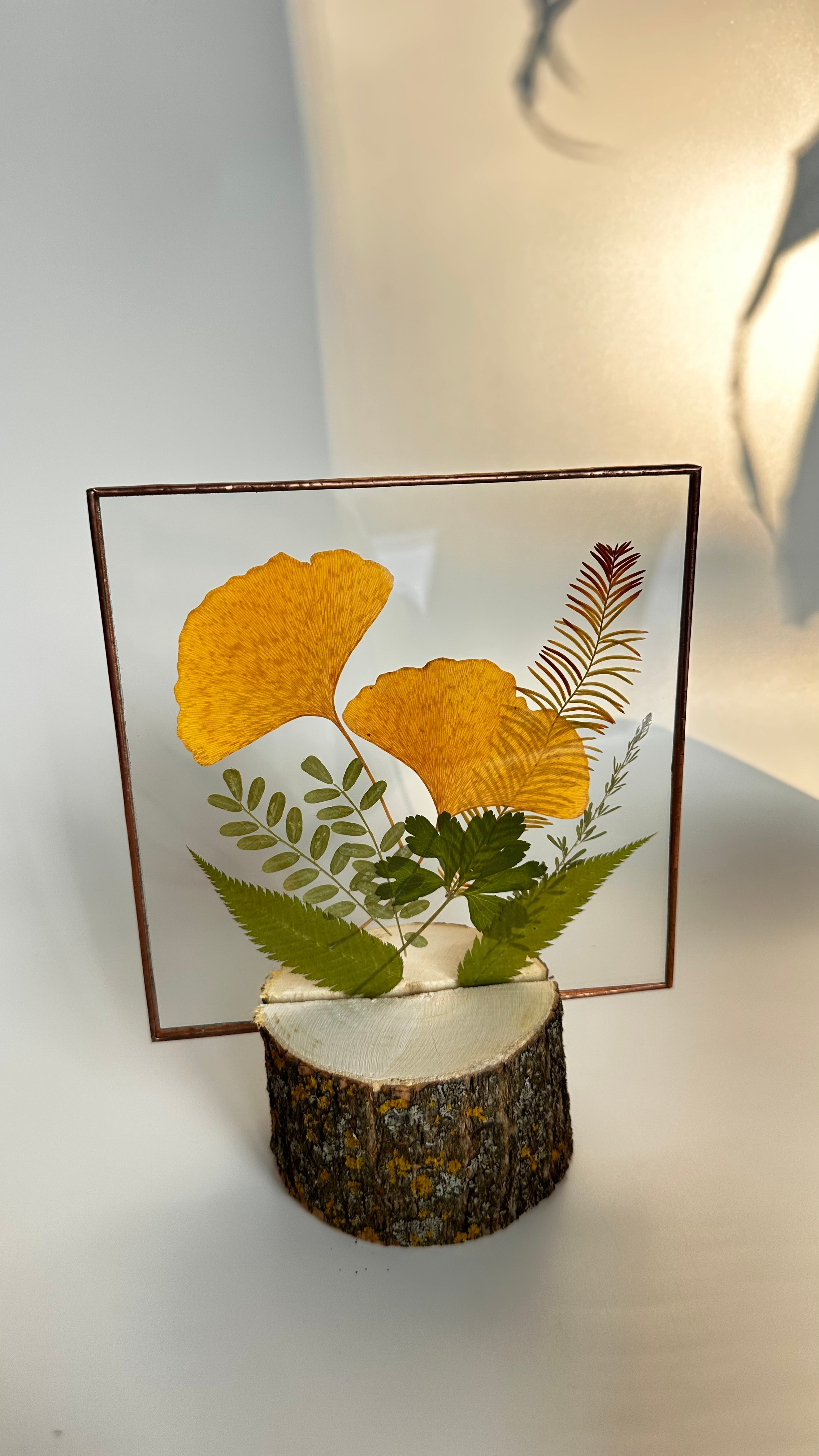 Витражи в технике тиффани с засушенными растениями (гербарии в стекле) в наличии и на заказ. Гербарий в стекле, интерьерные панно, витражи с сухоцветами в технике тиффани