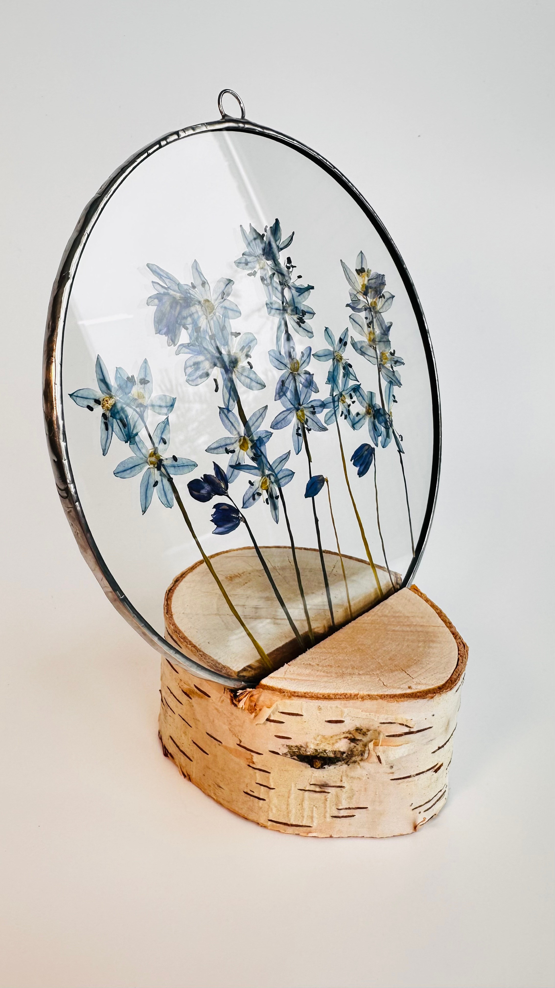 Гербарий в стекле с сухоцветами (витраж в технике тиффани). Гербарий в стекле, интерьерные панно, витражи с сухоцветами в технике тиффани